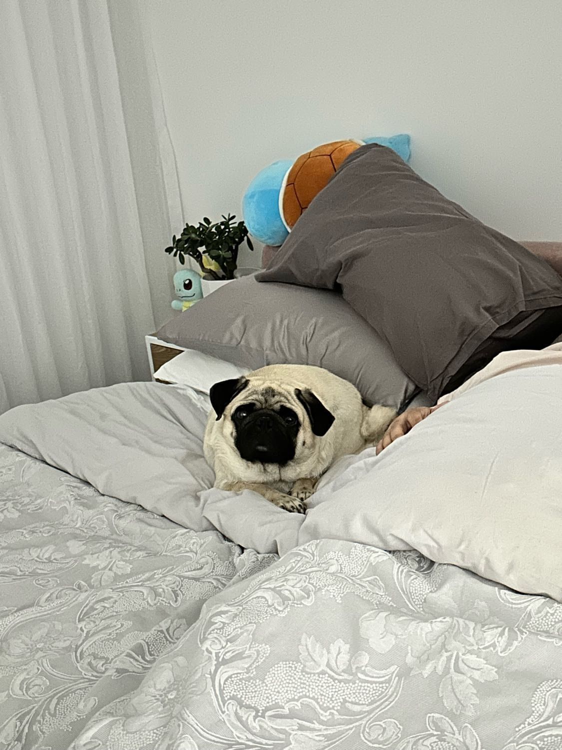image-11