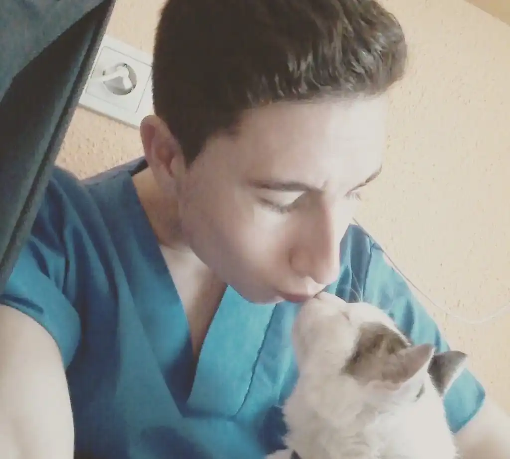 image-6