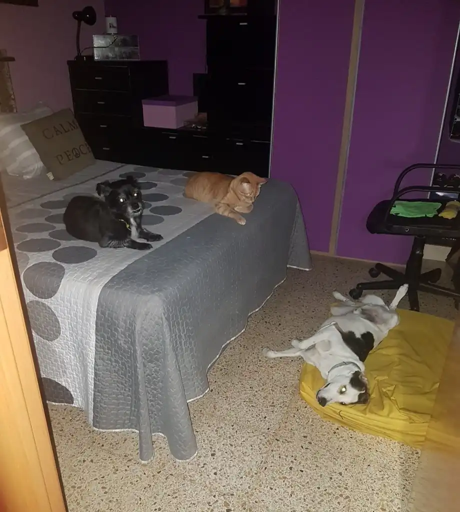 image-13