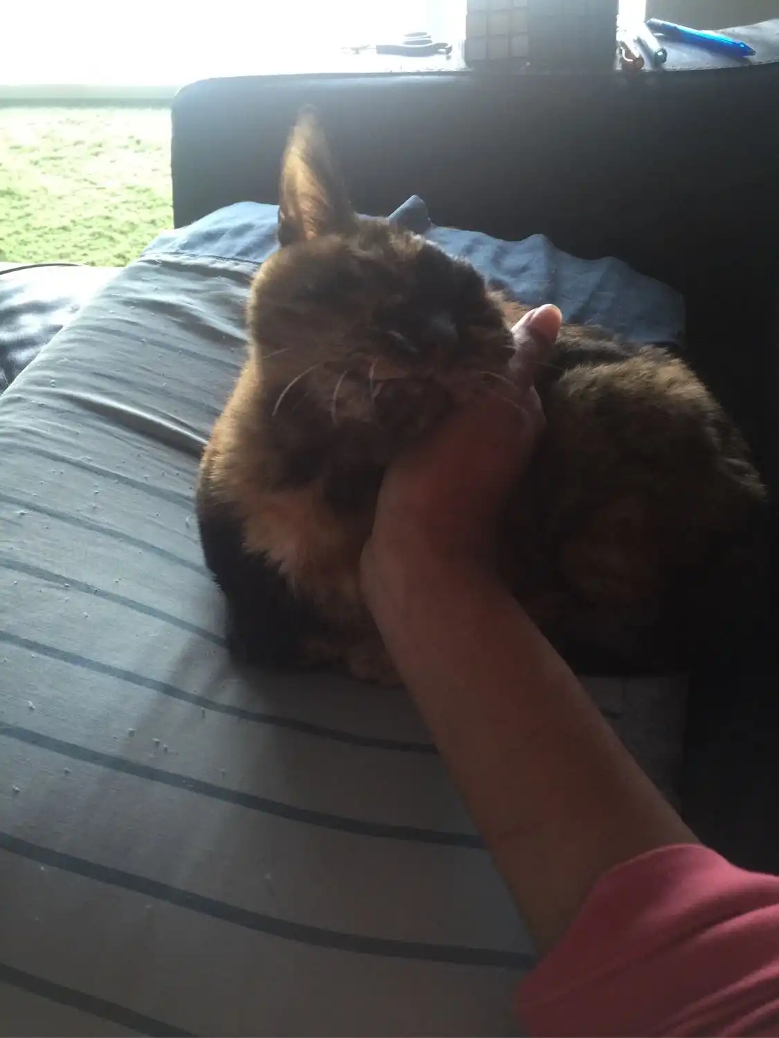 image-9