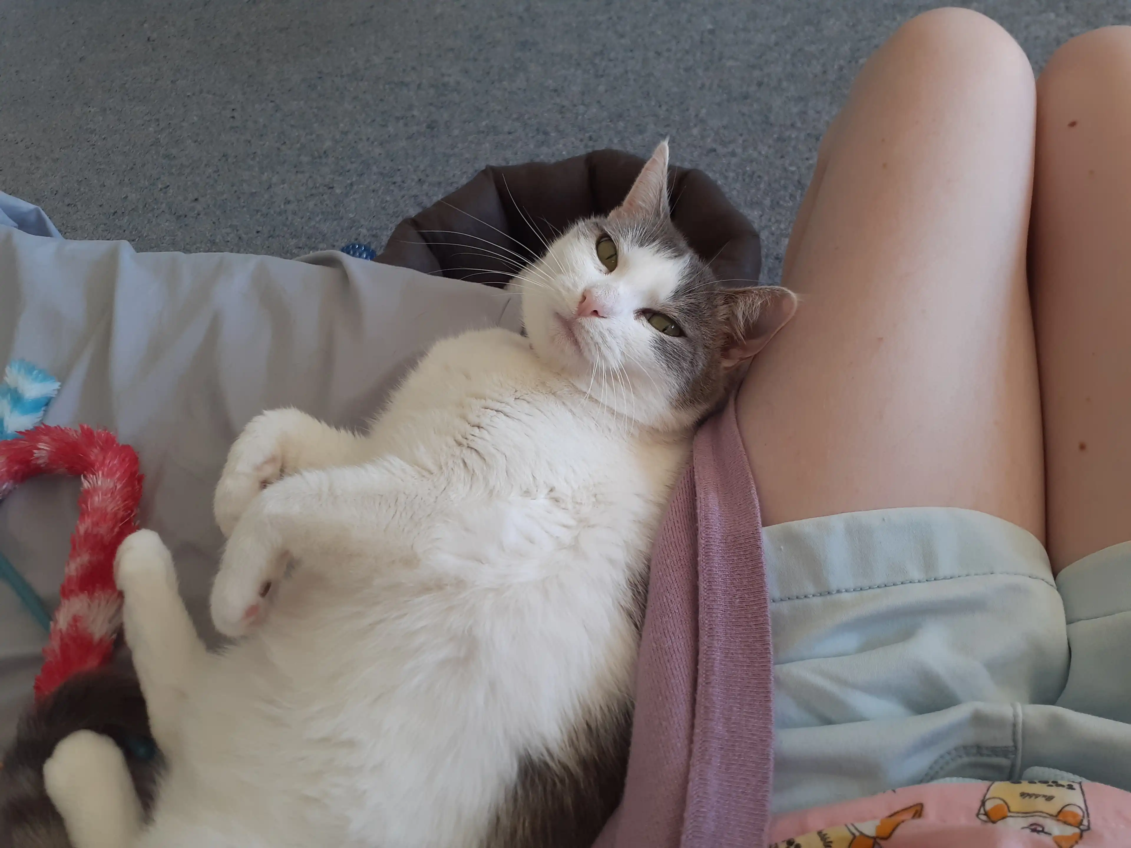image-8