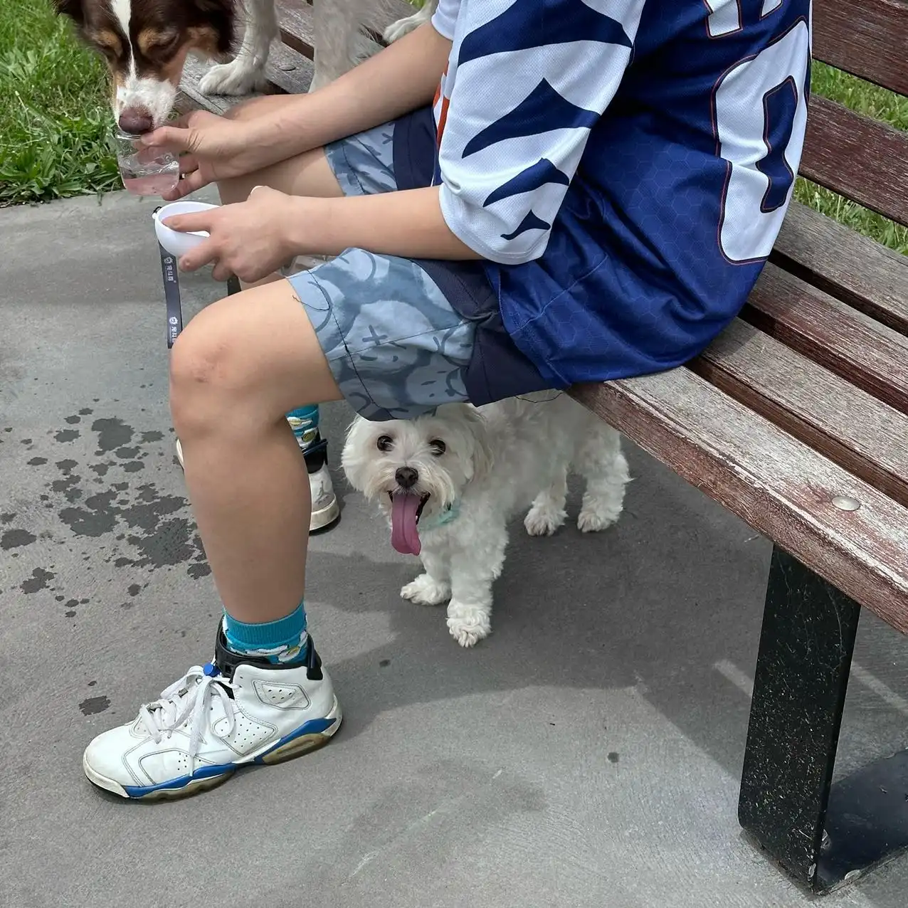 image-7