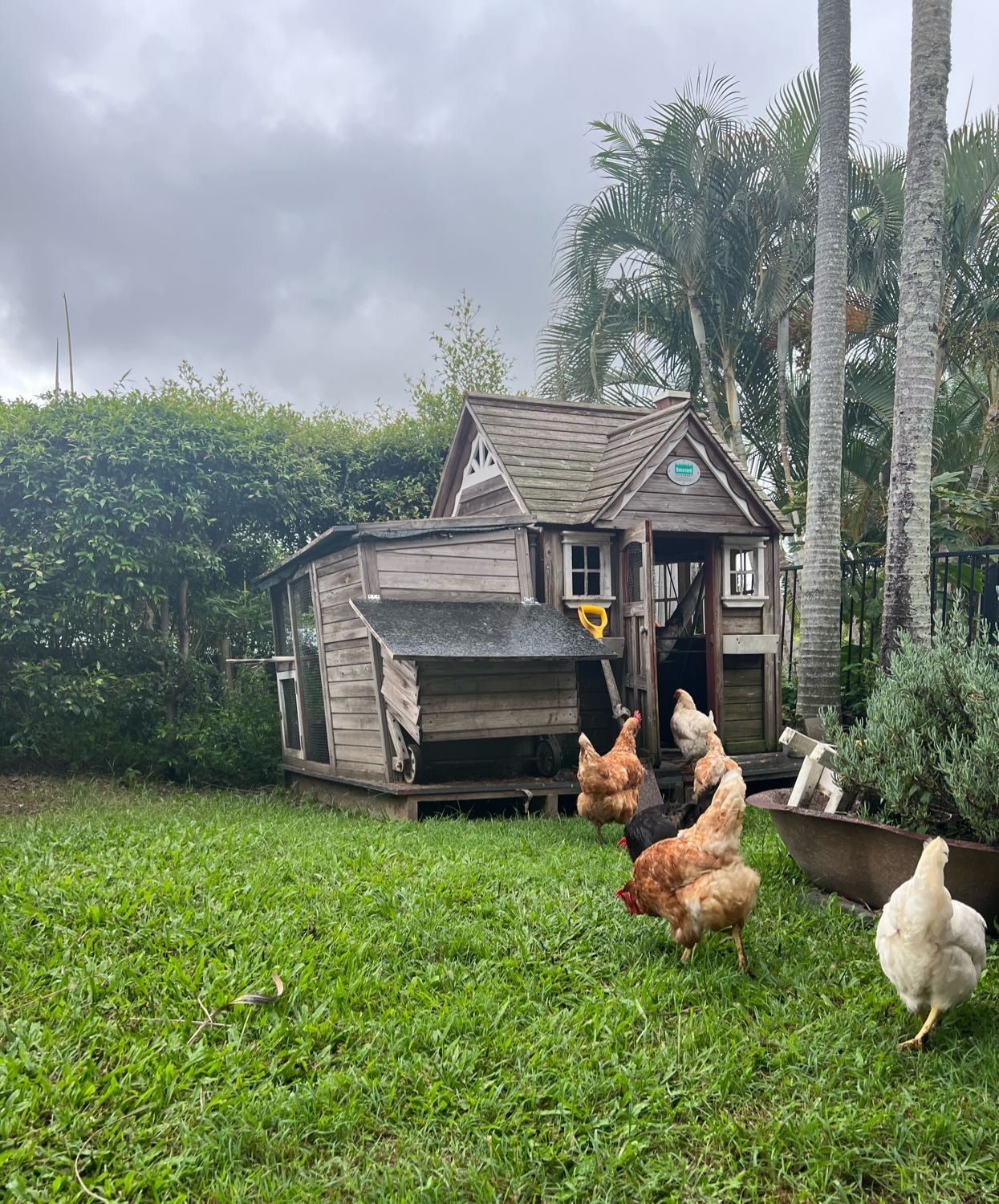 image-13