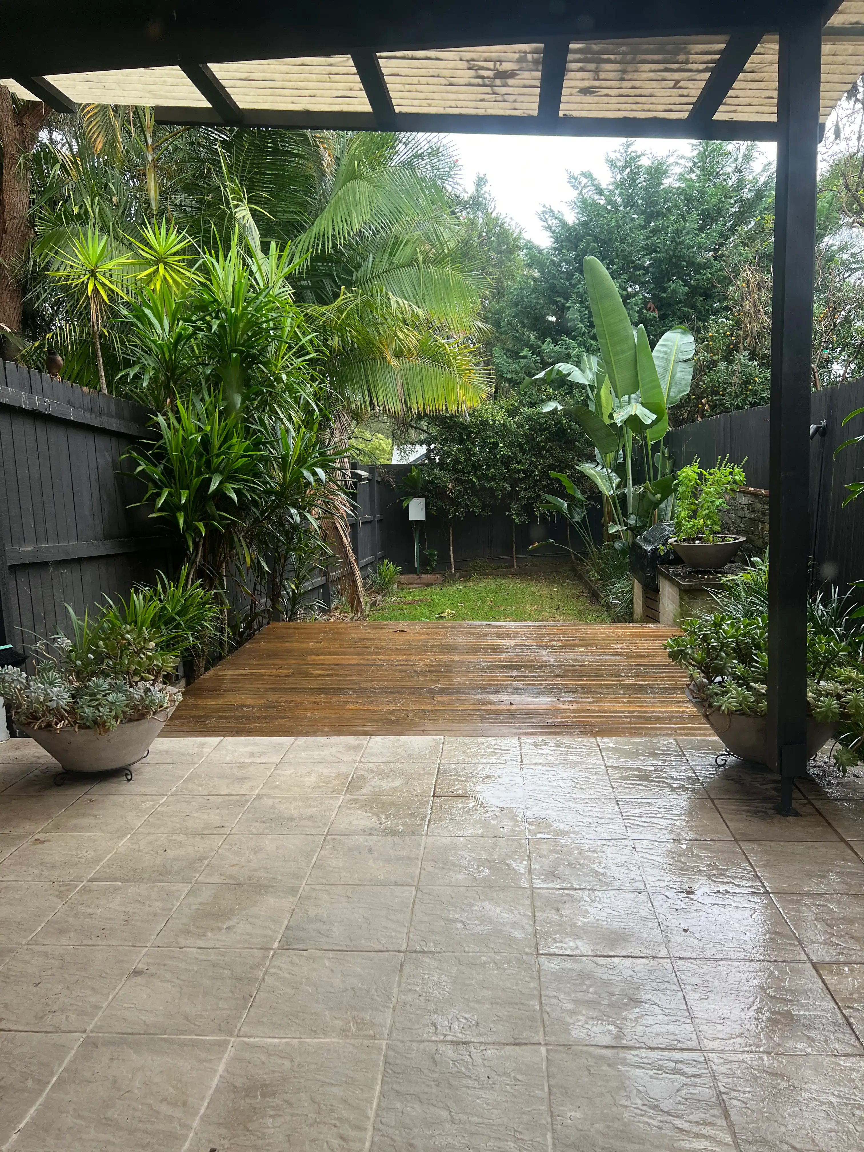 image-19
