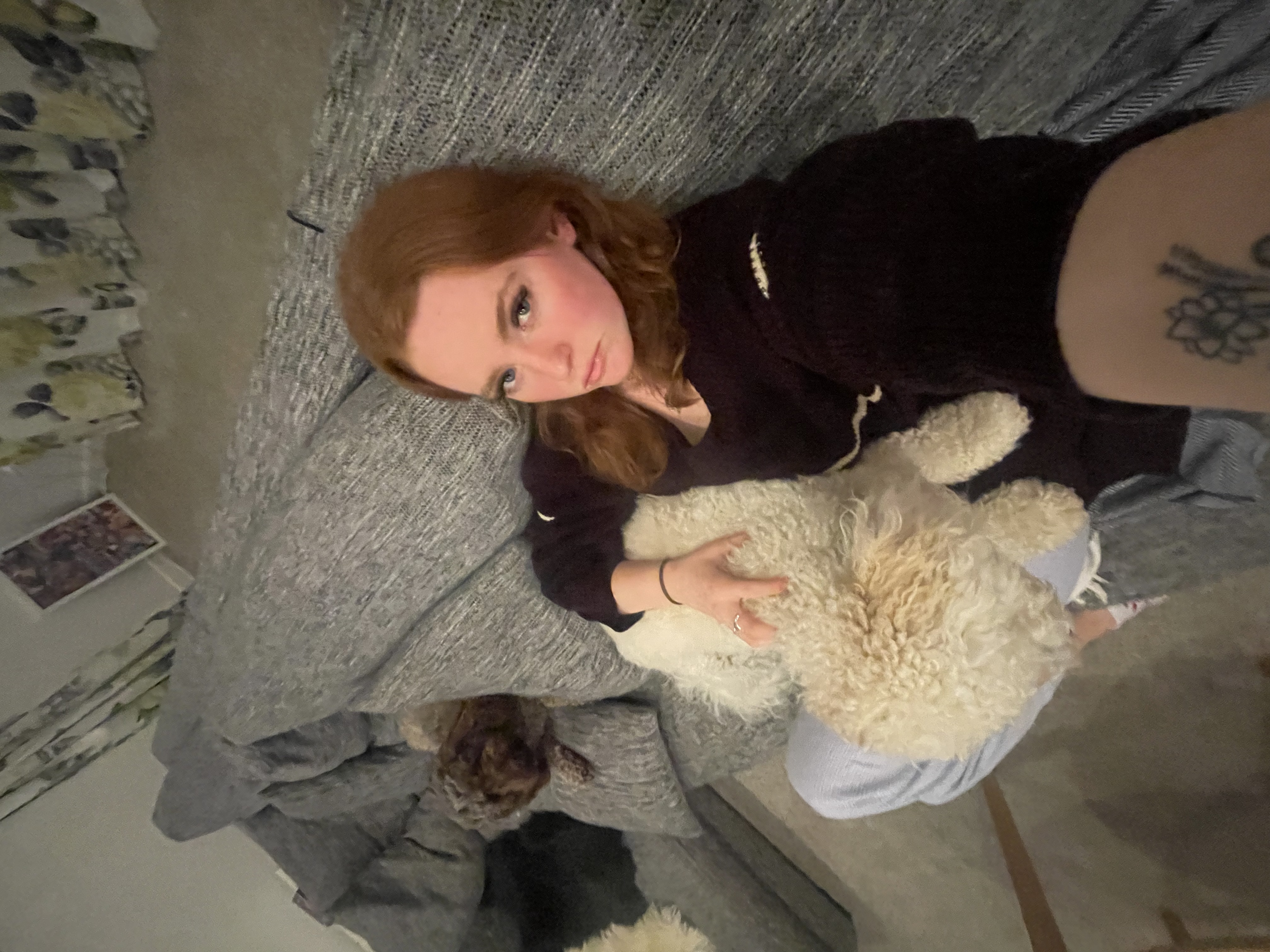 image-7