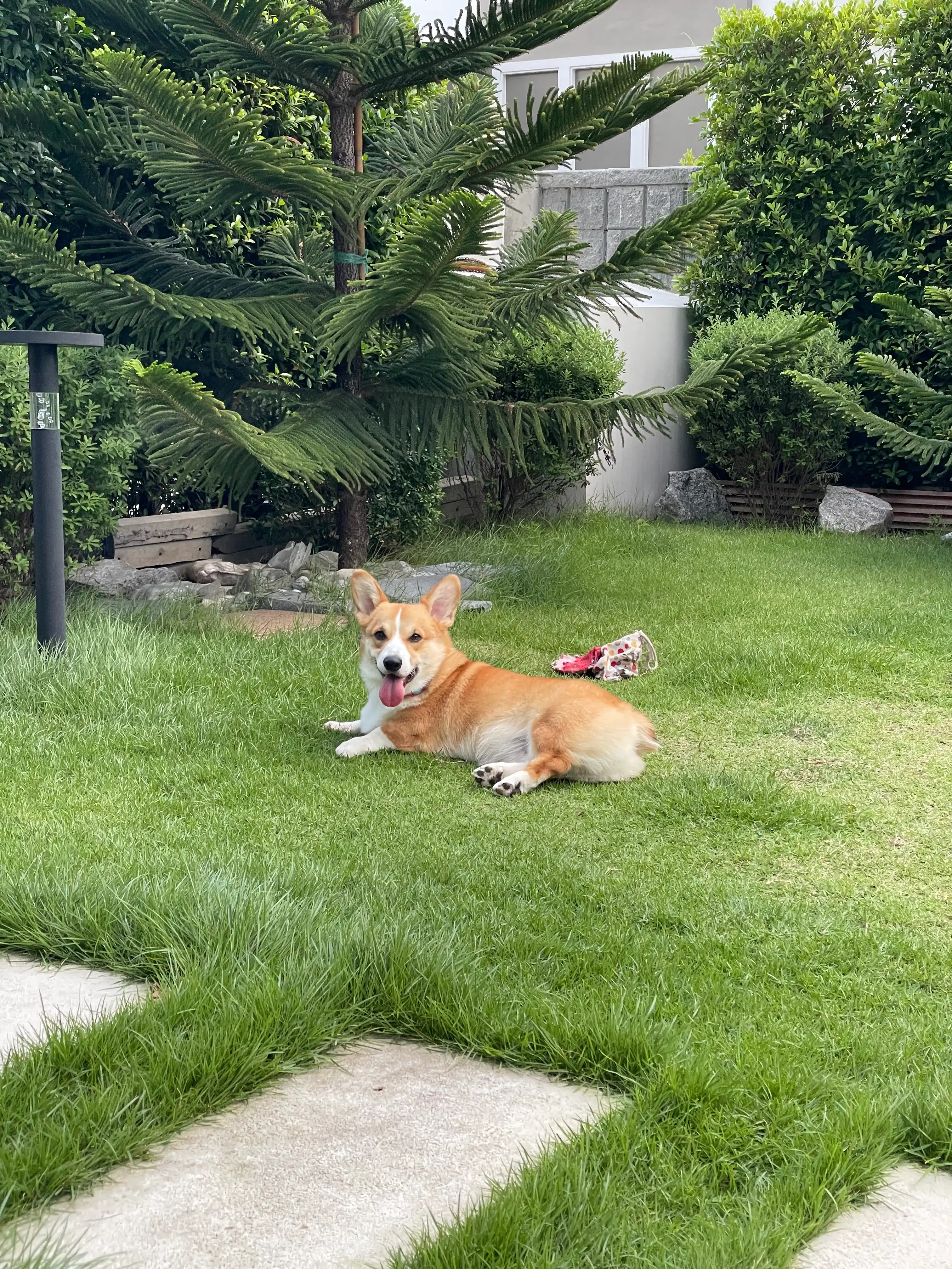 image-12