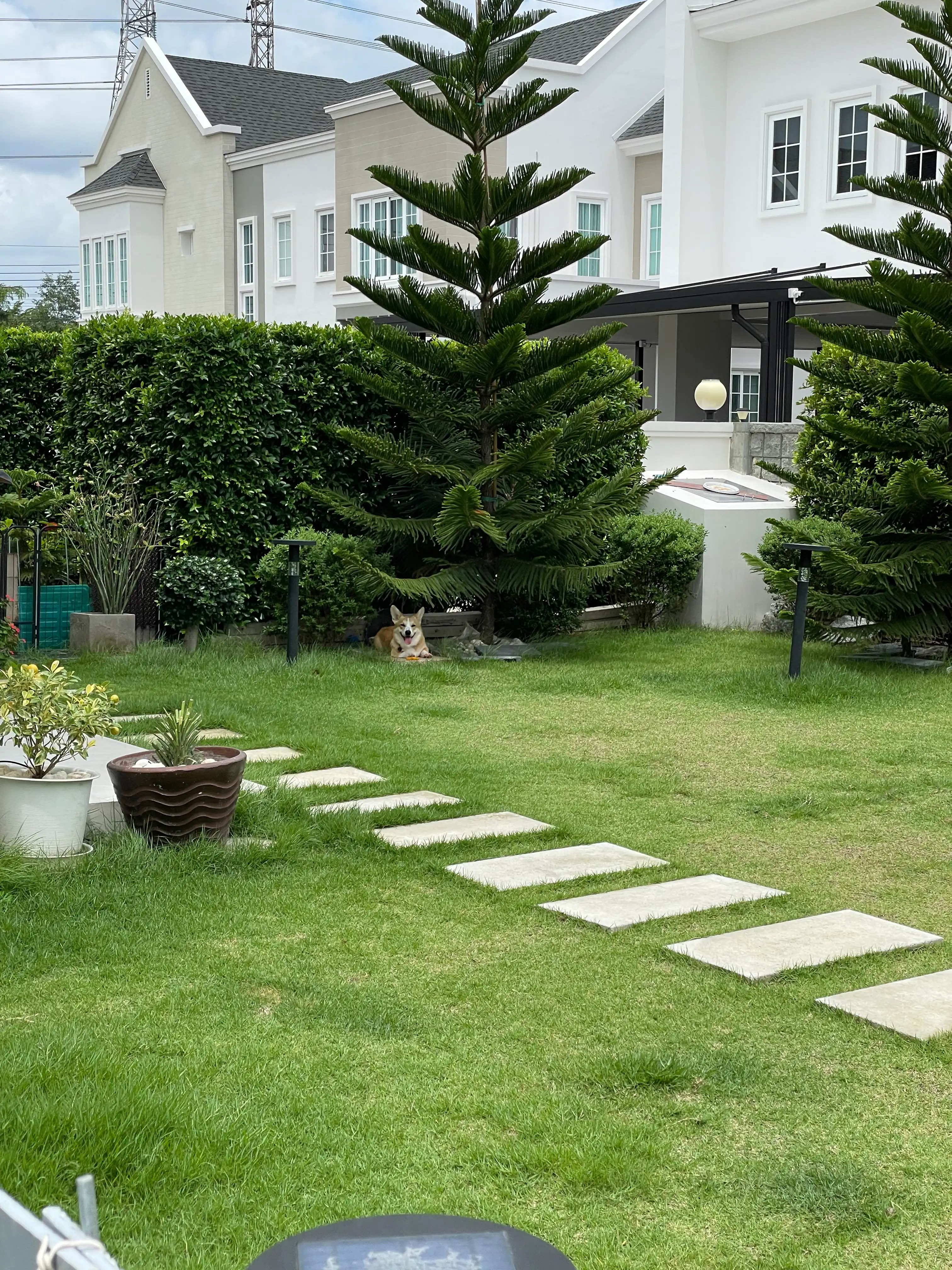 image-20