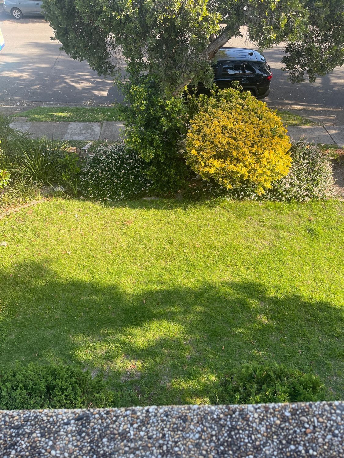 image-4