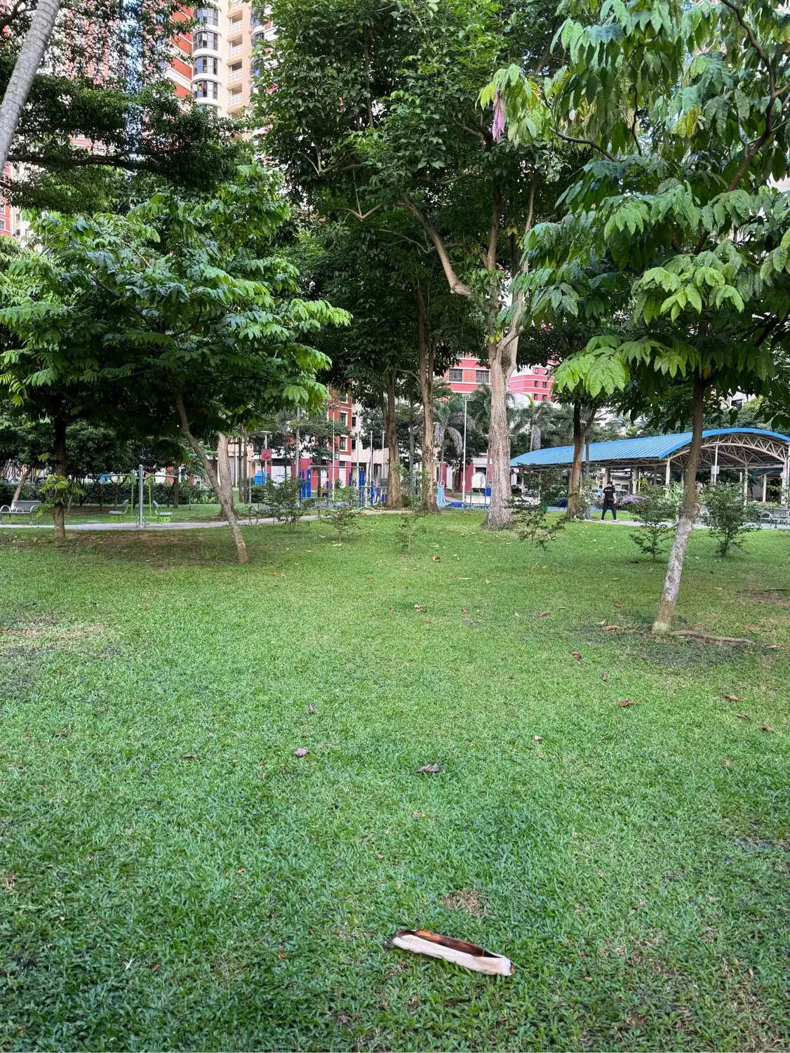 image-20