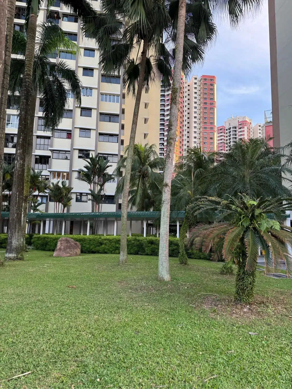 image-19