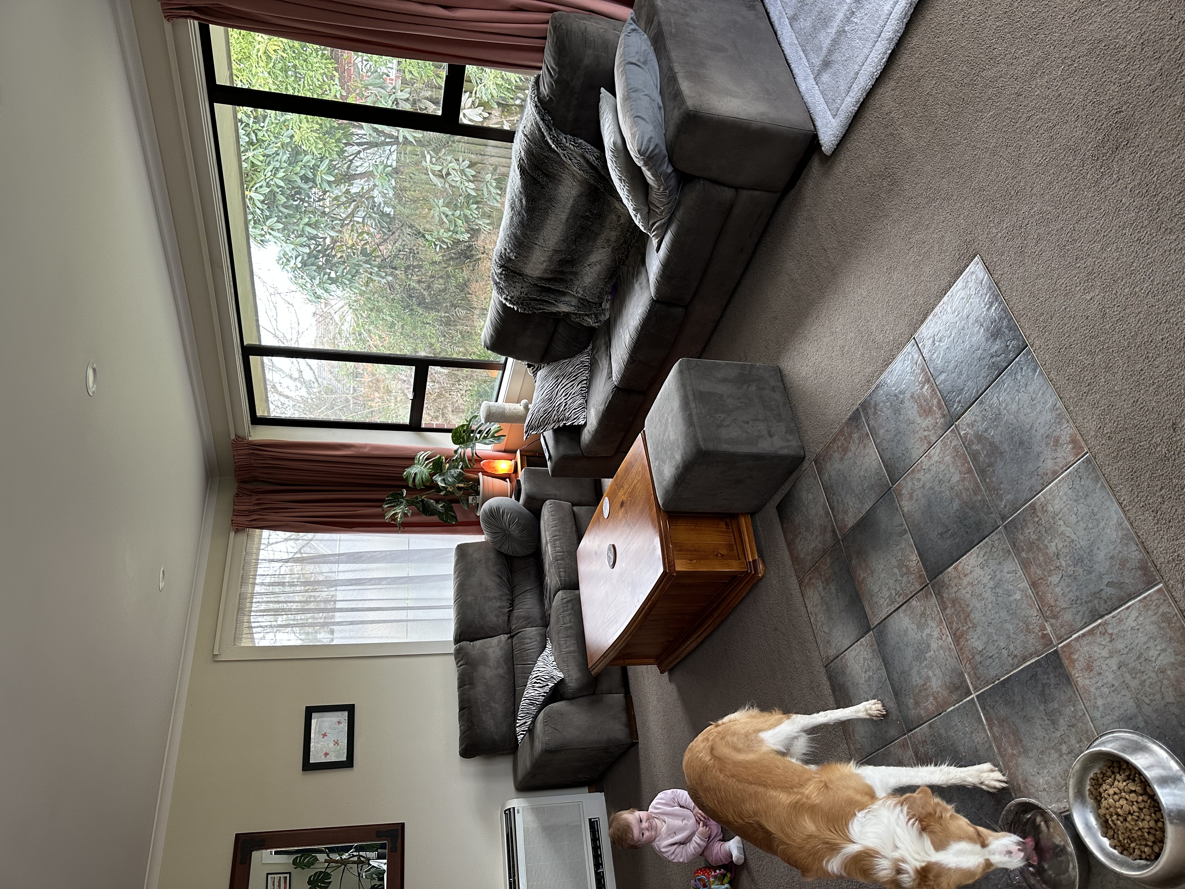 image-20