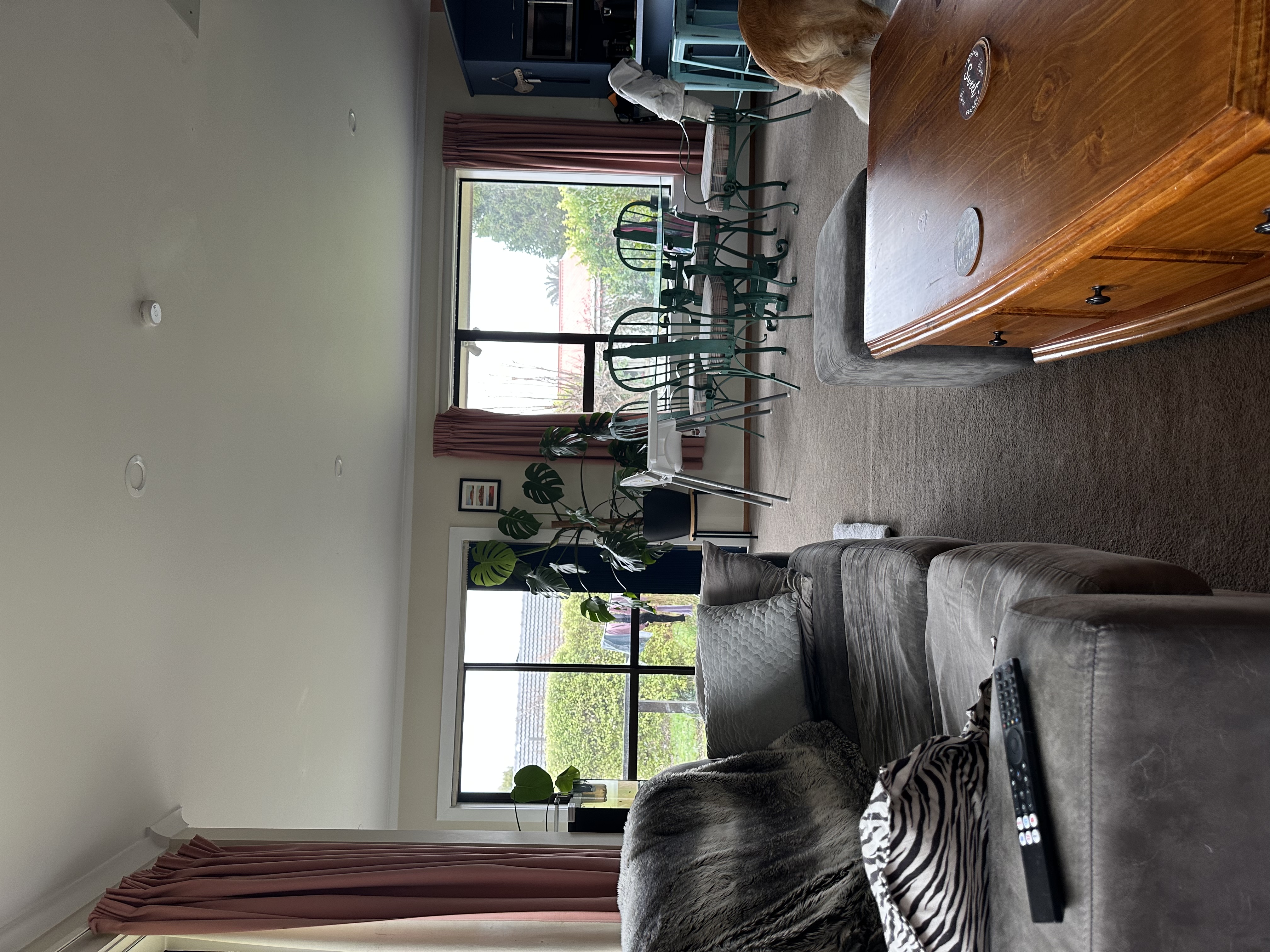 image-19