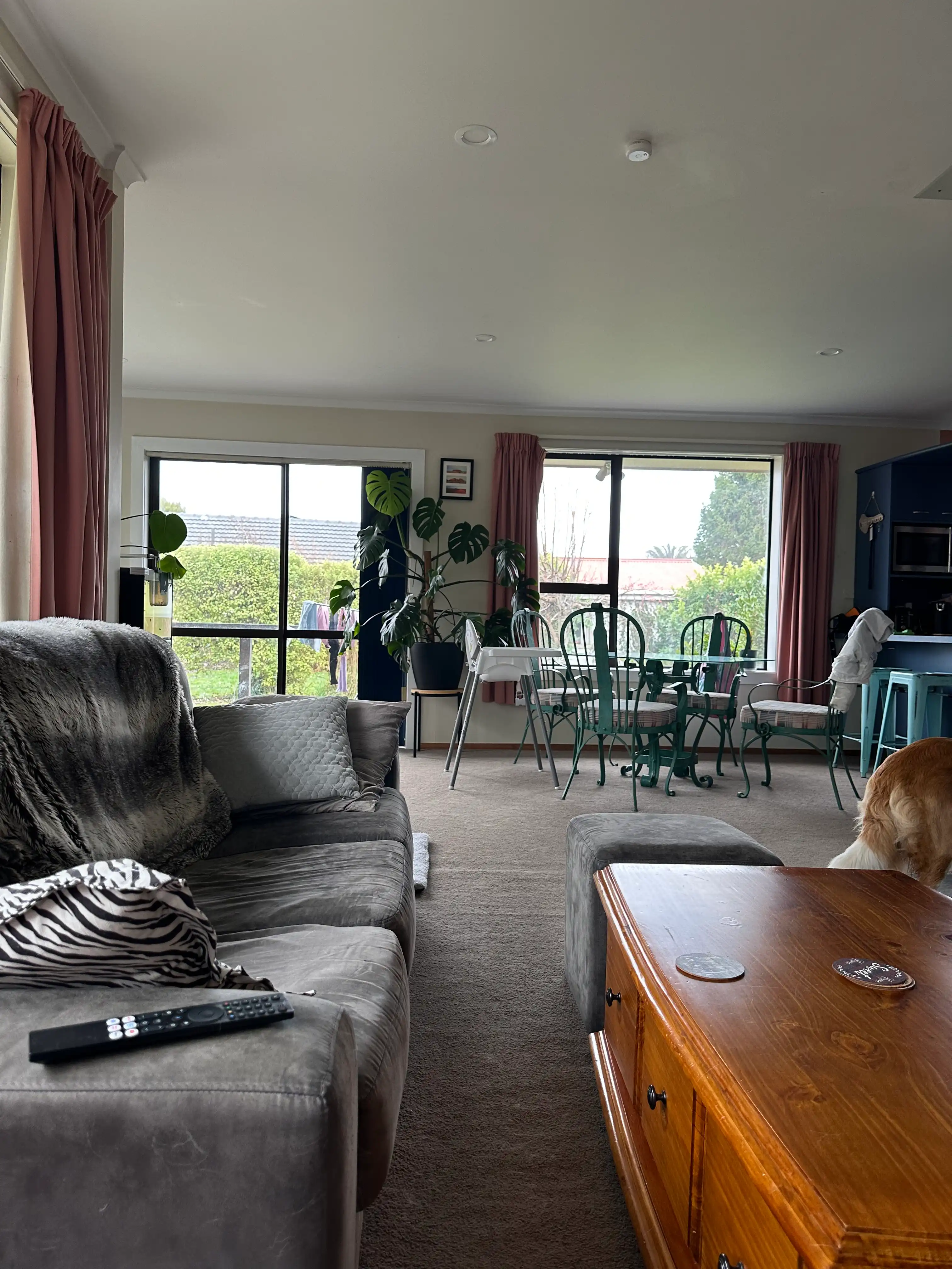 image-19