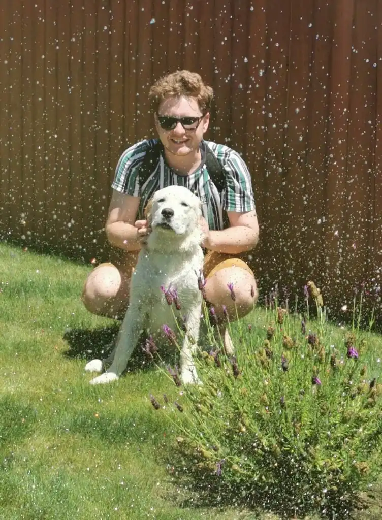 image-5