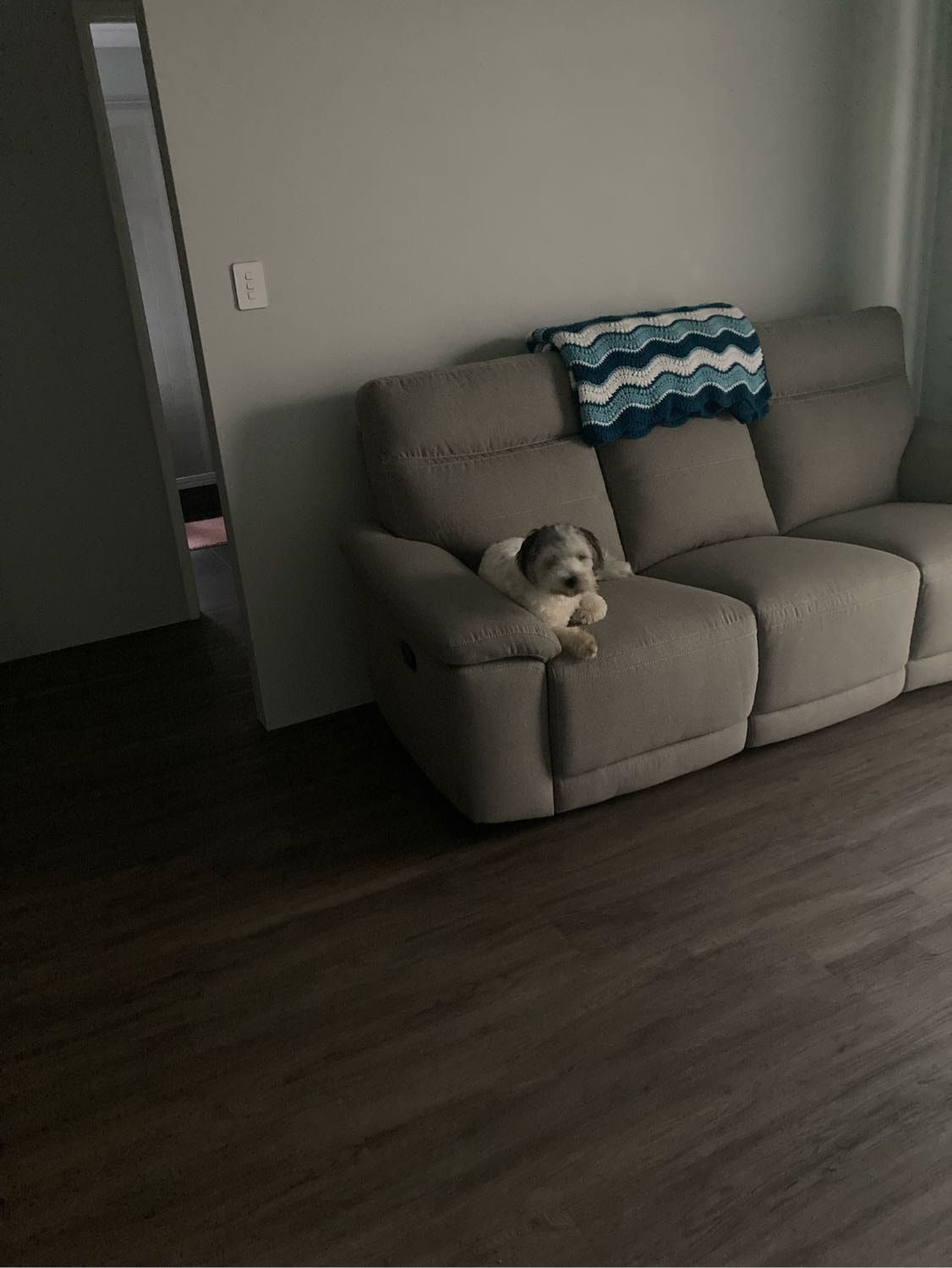 image-1