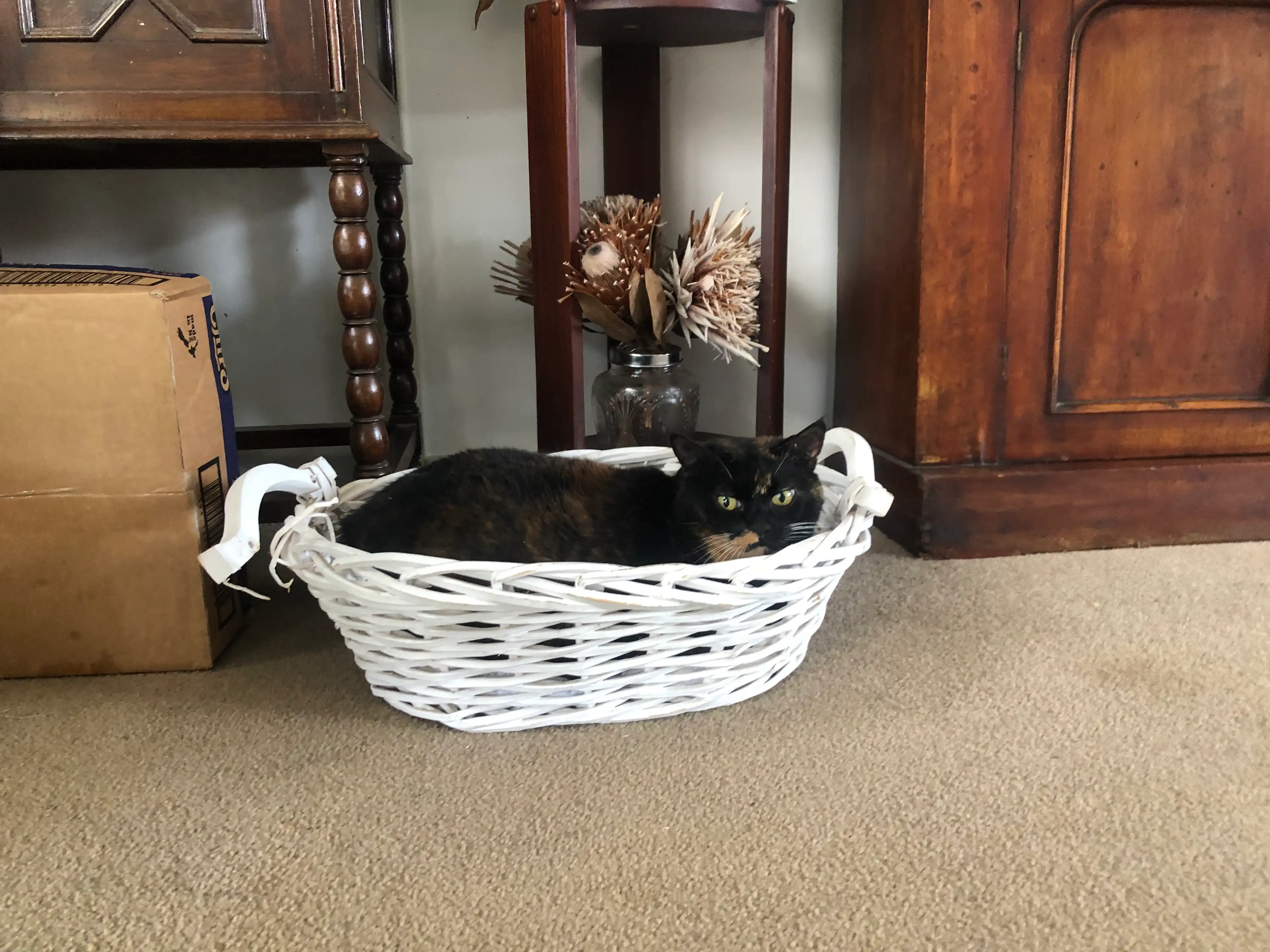 image-12