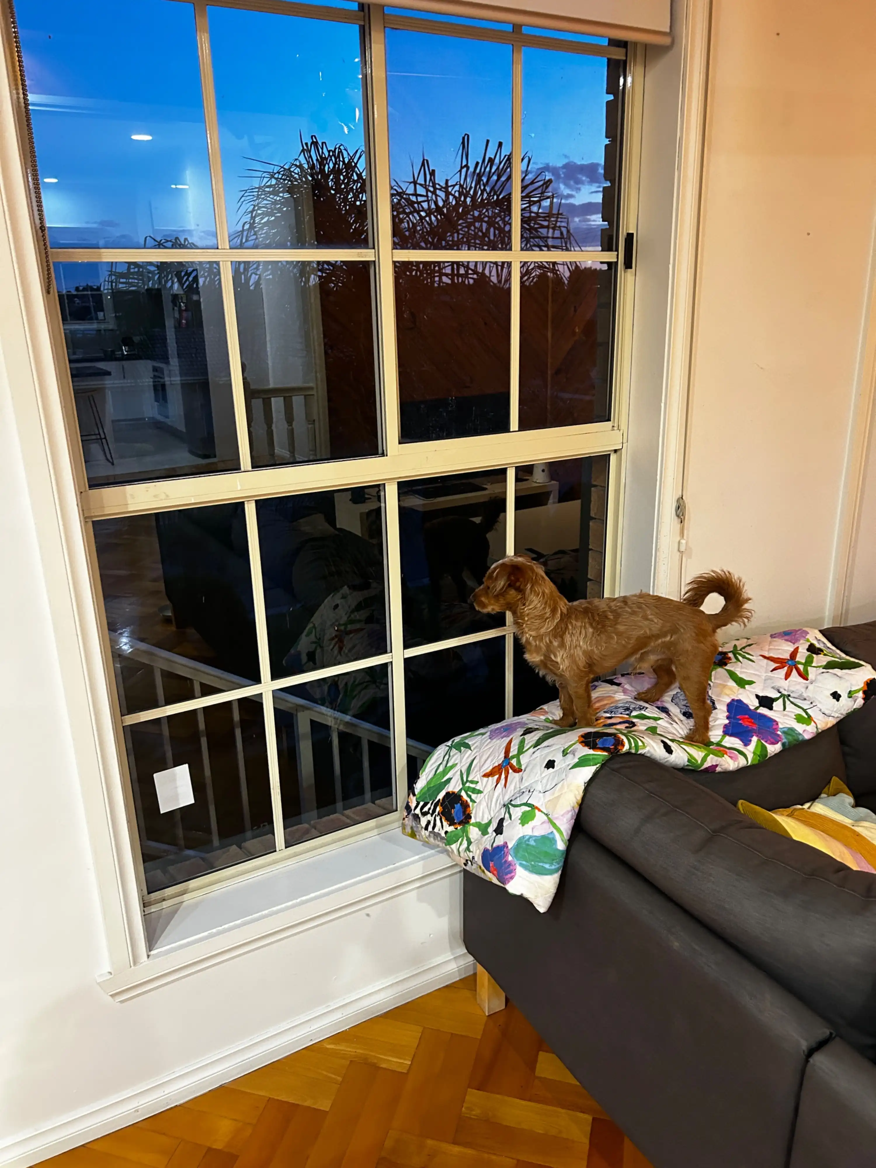 image-5