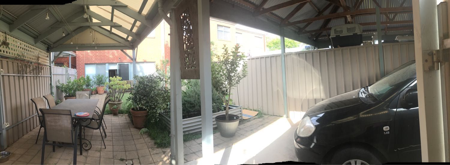image-7
