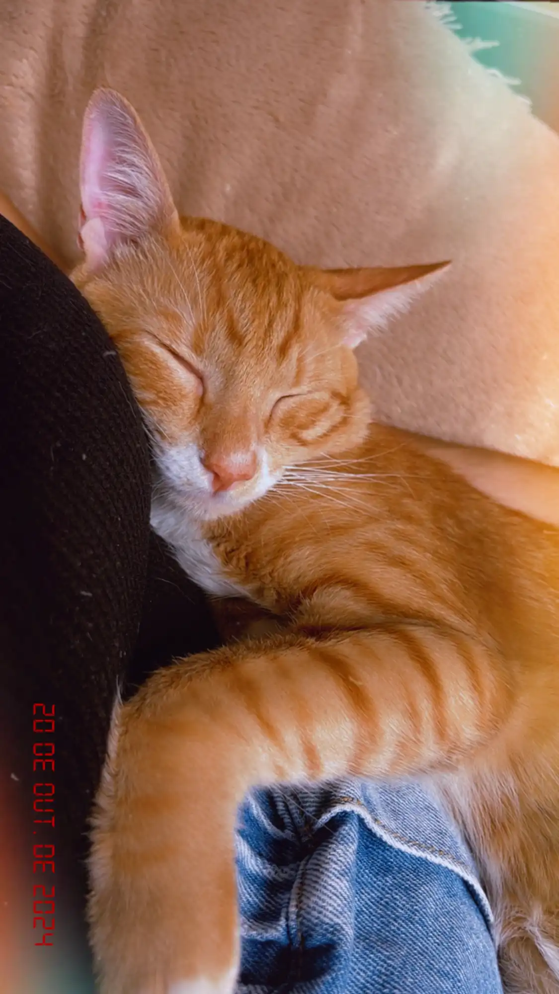 image-5
