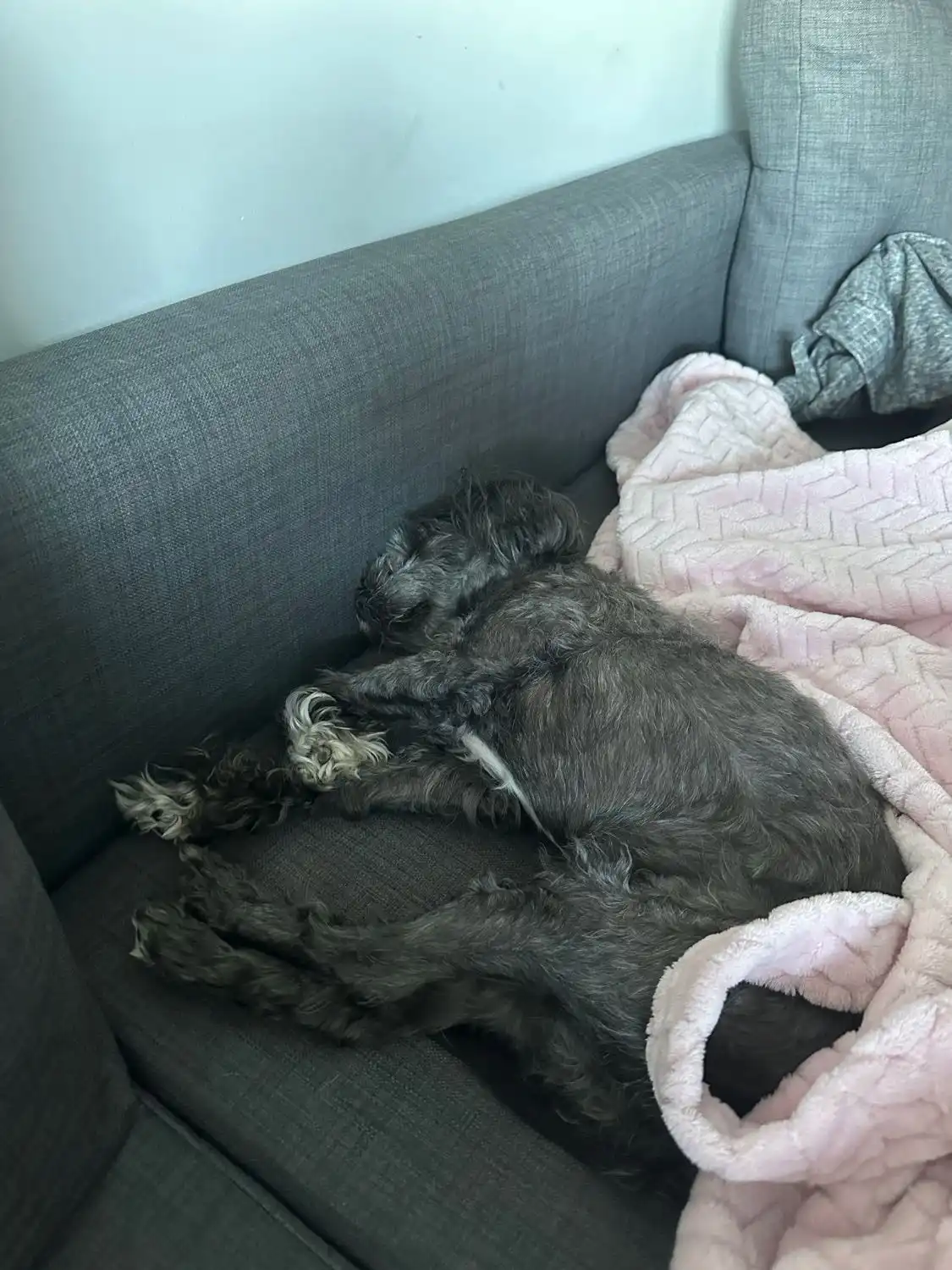 image-8