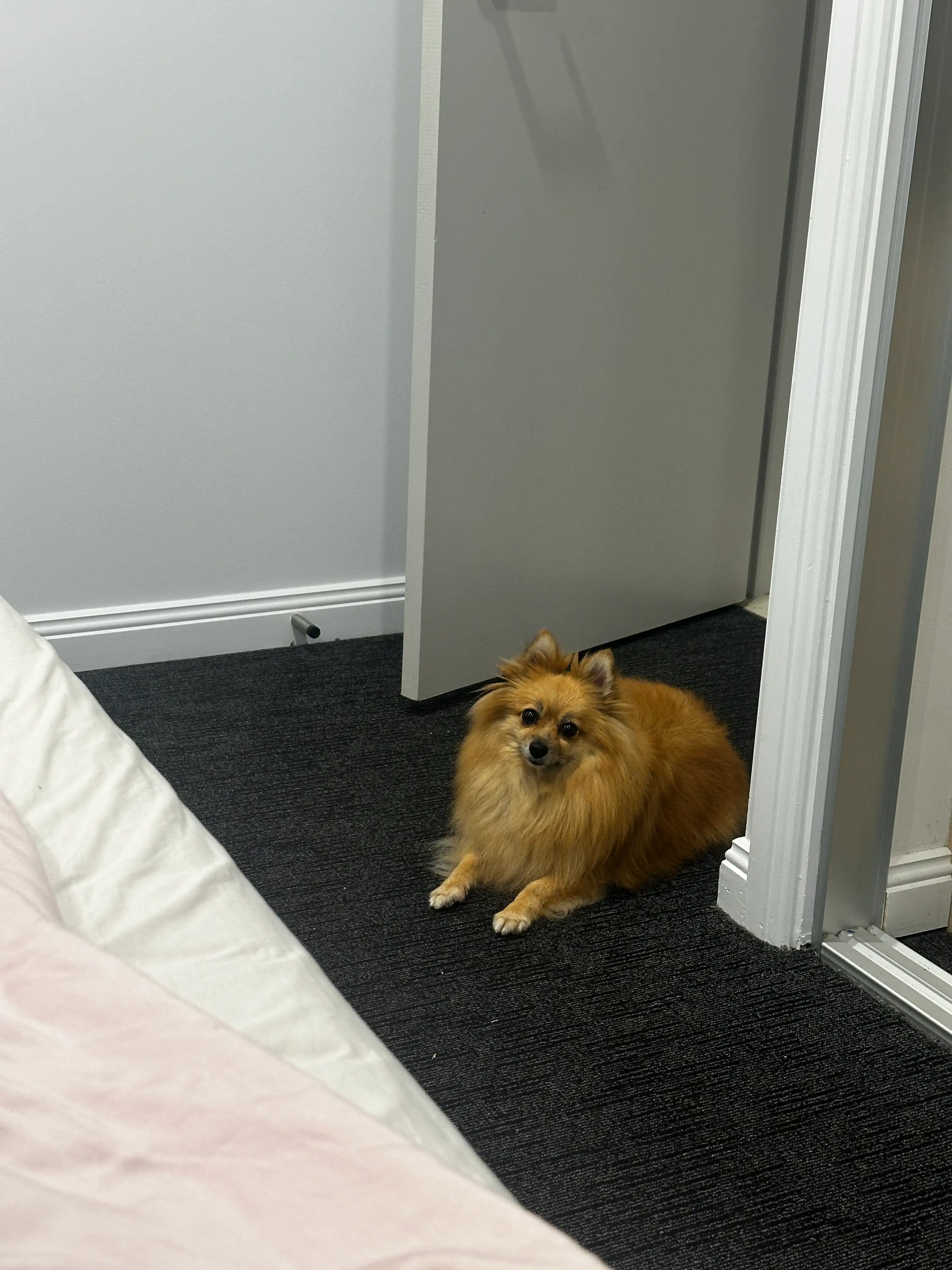 image-15
