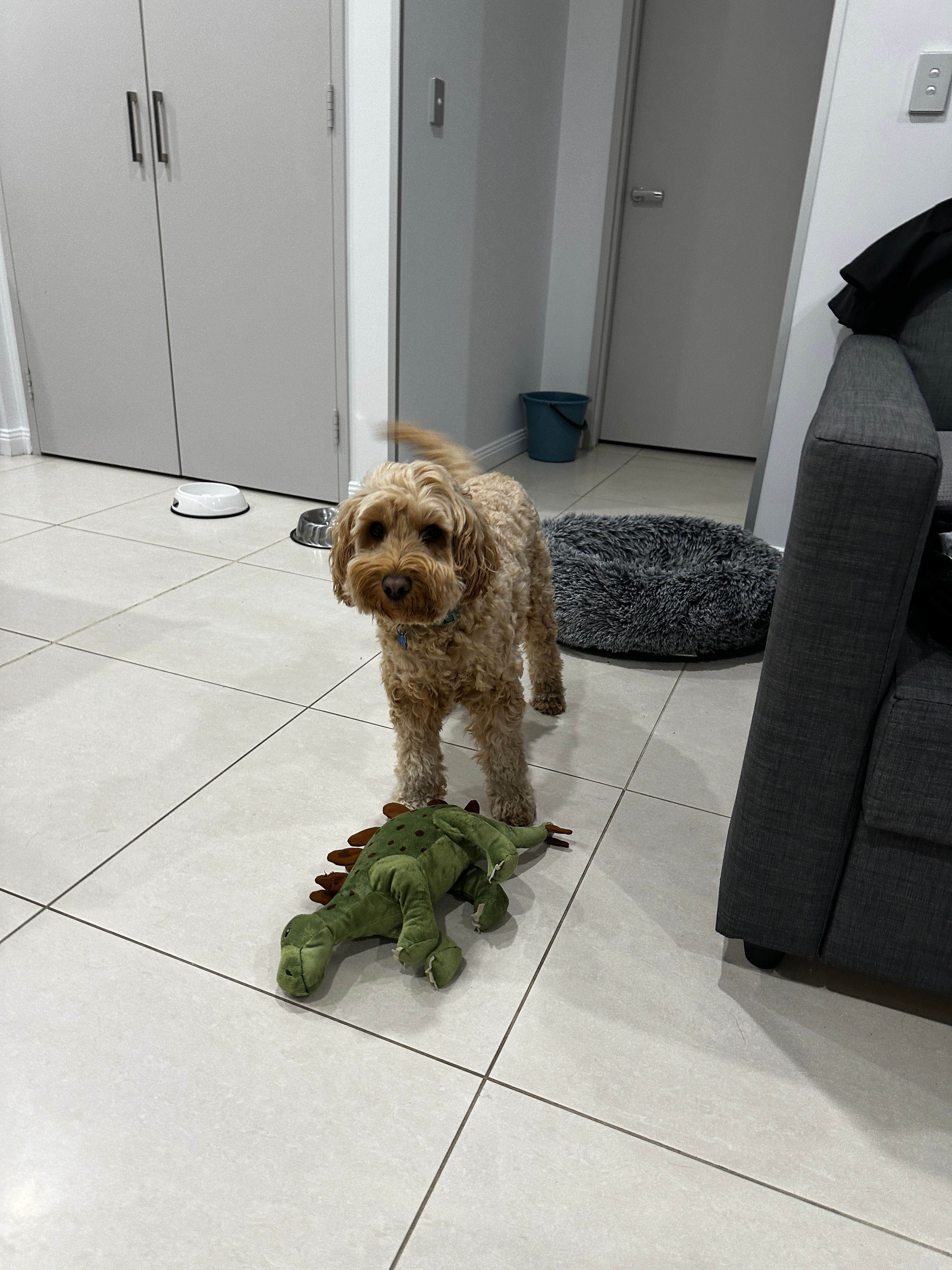 image-14