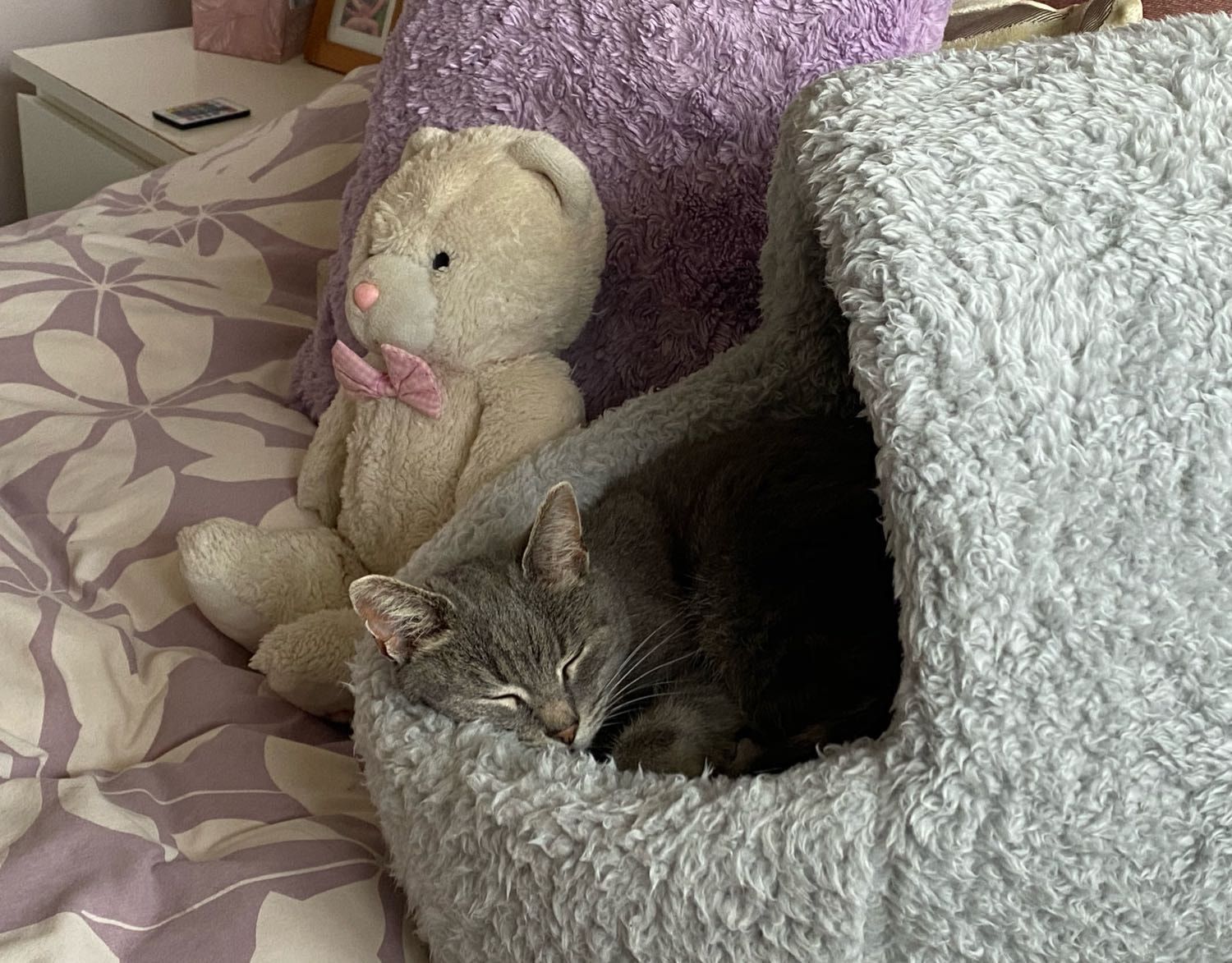 image-18