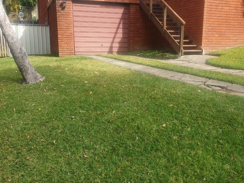 image-7