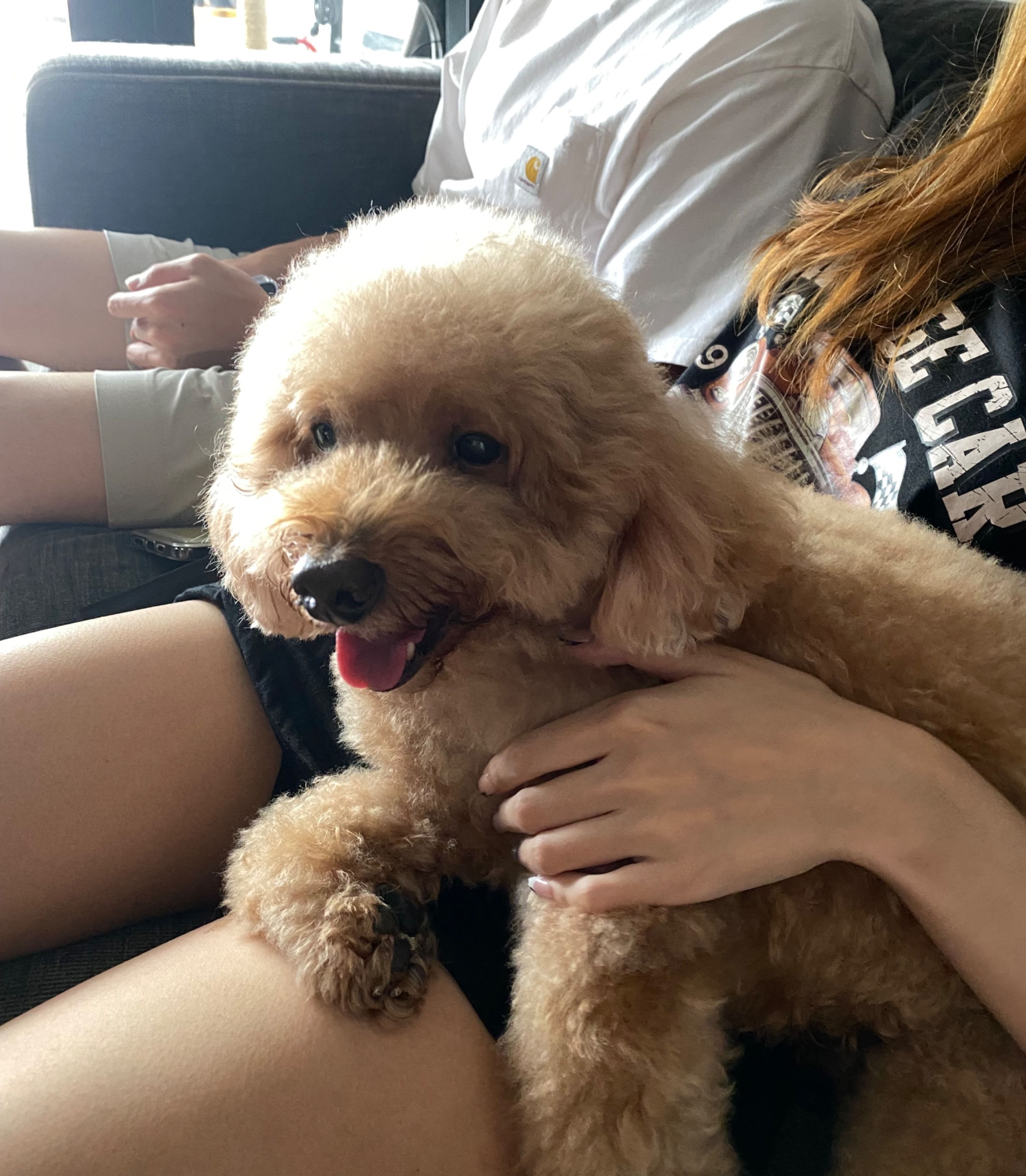 image-7