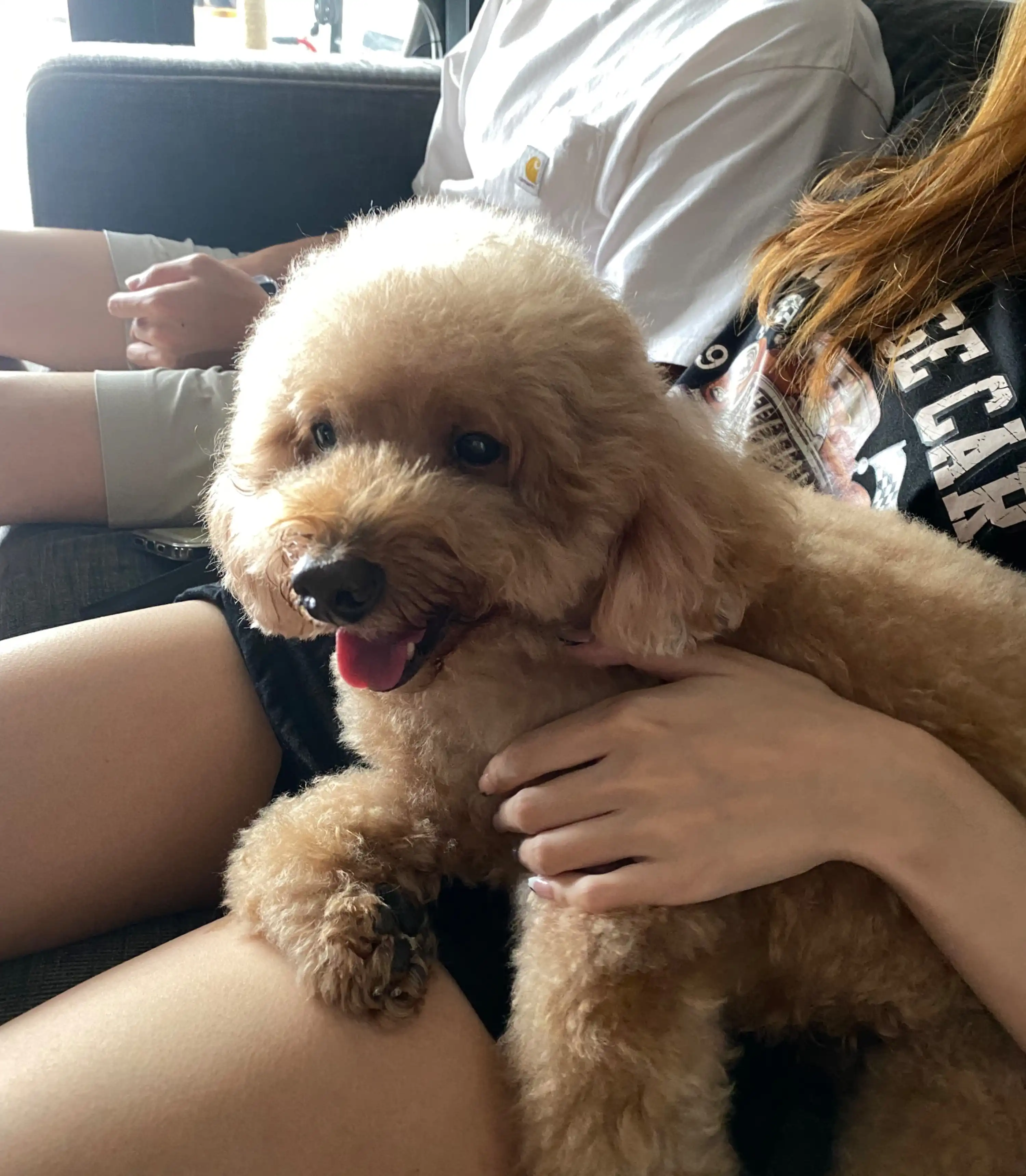 image-7