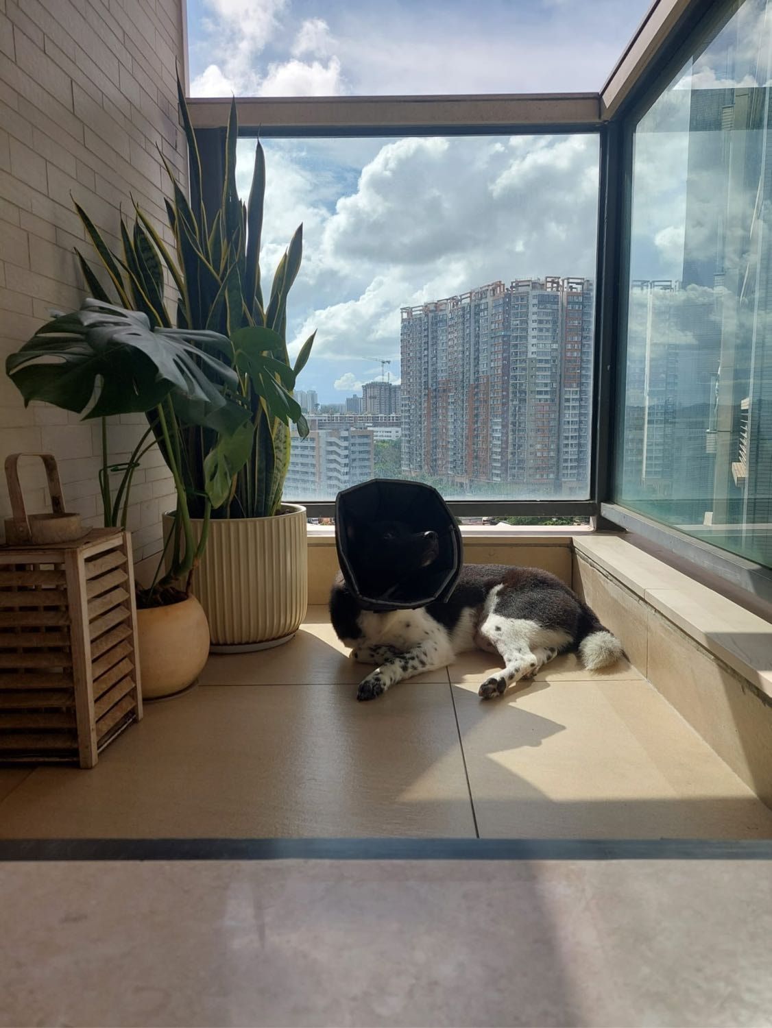 image-6