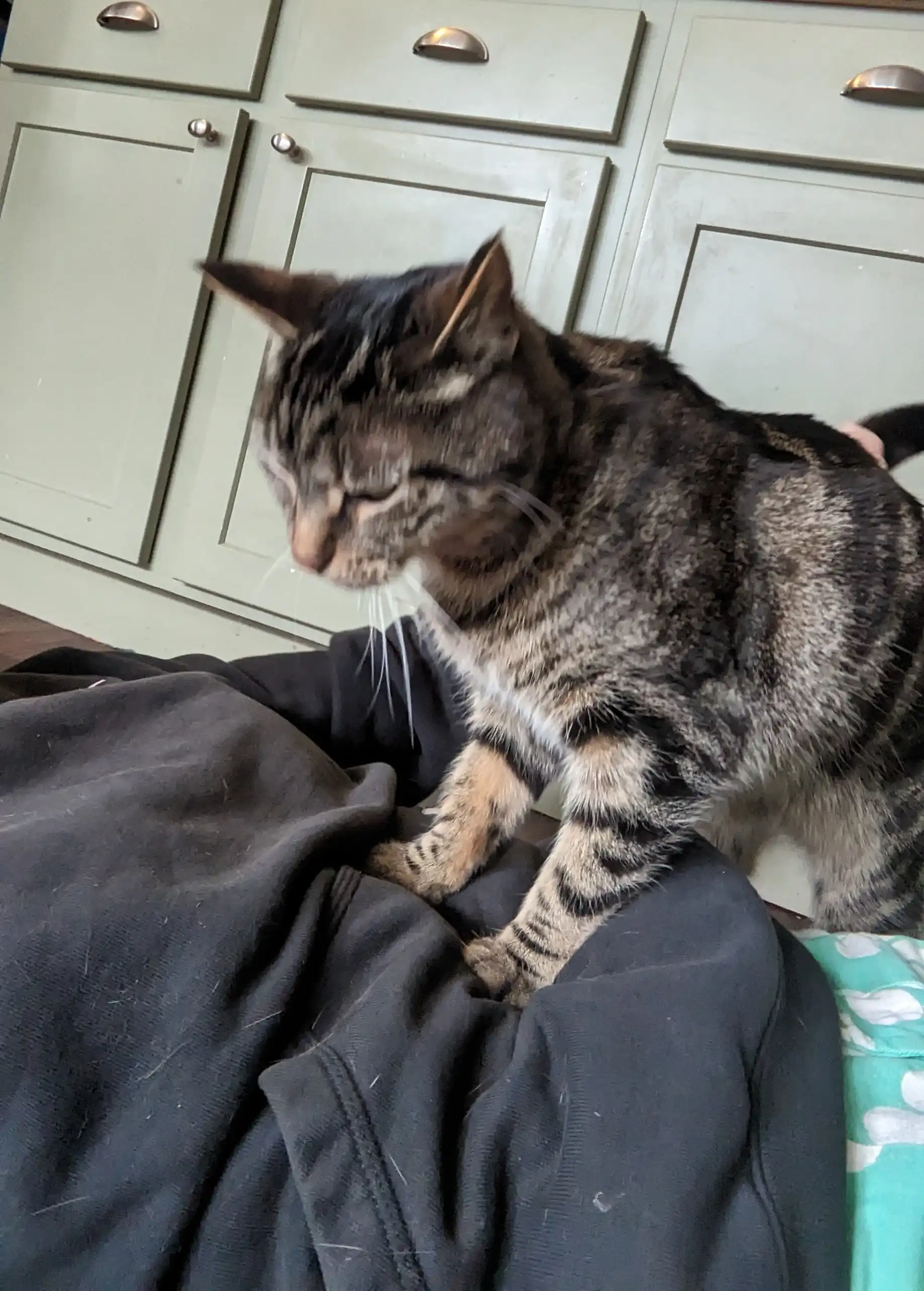 image-6