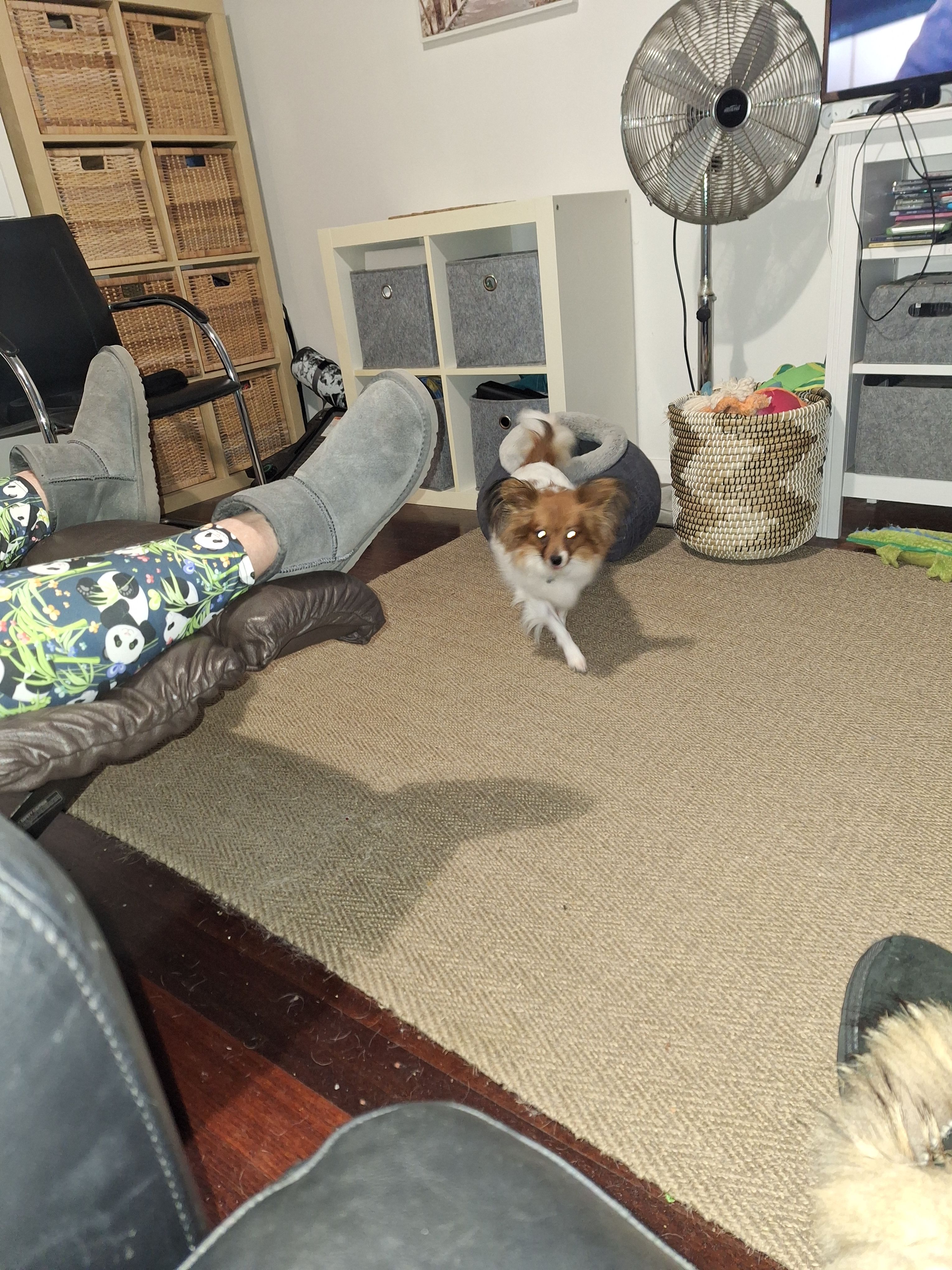 image-43
