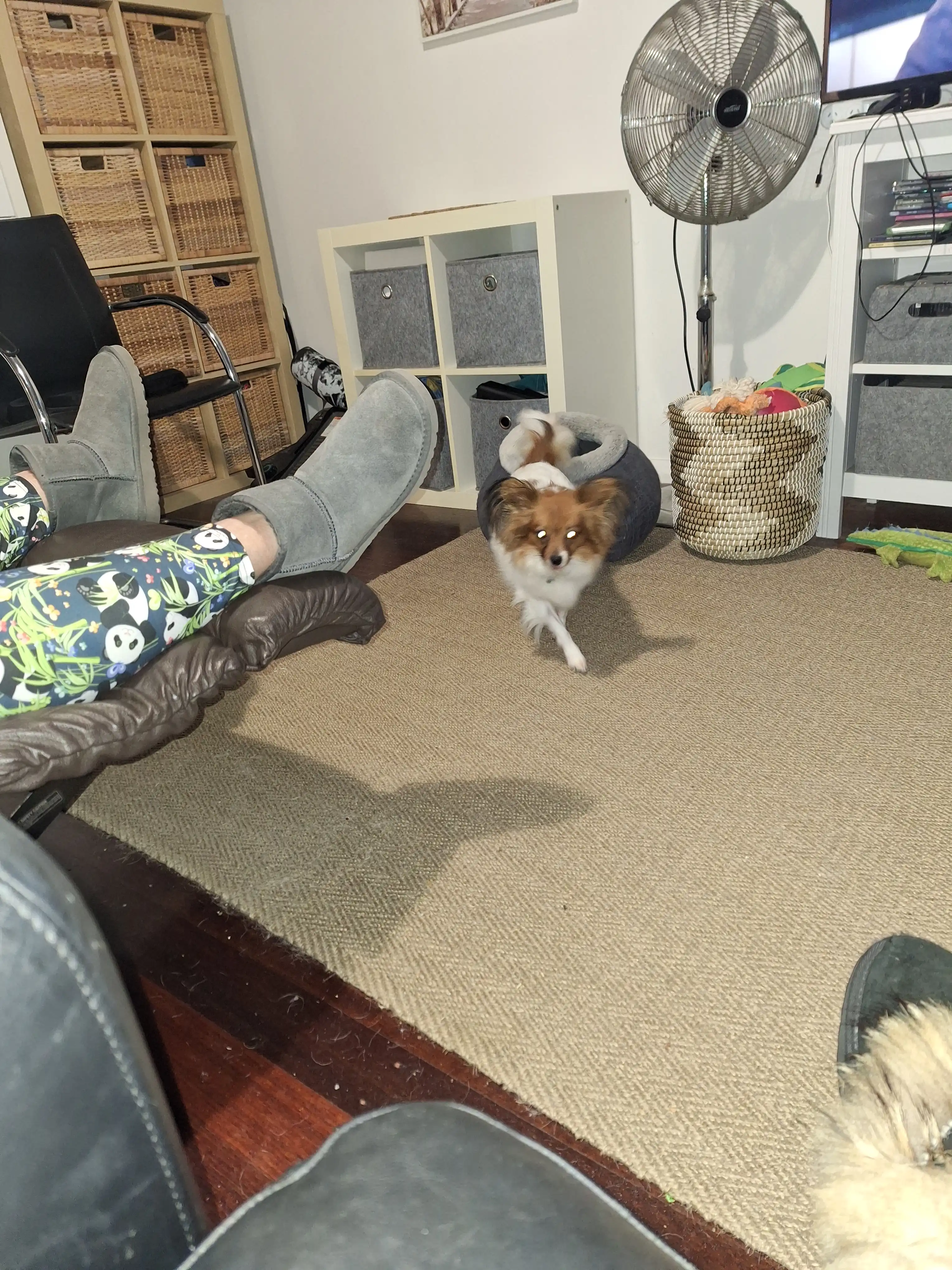 image-43