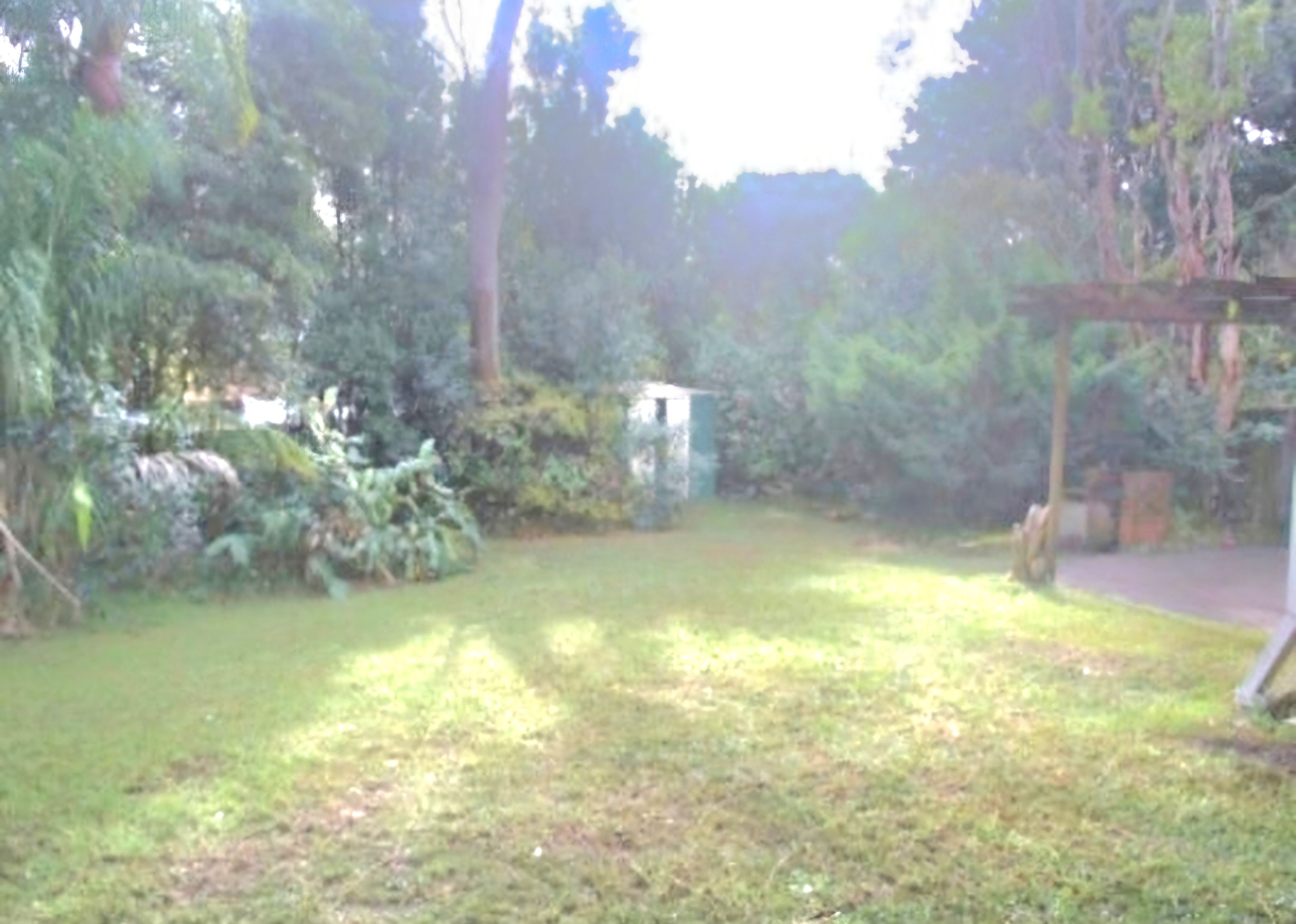 image-50