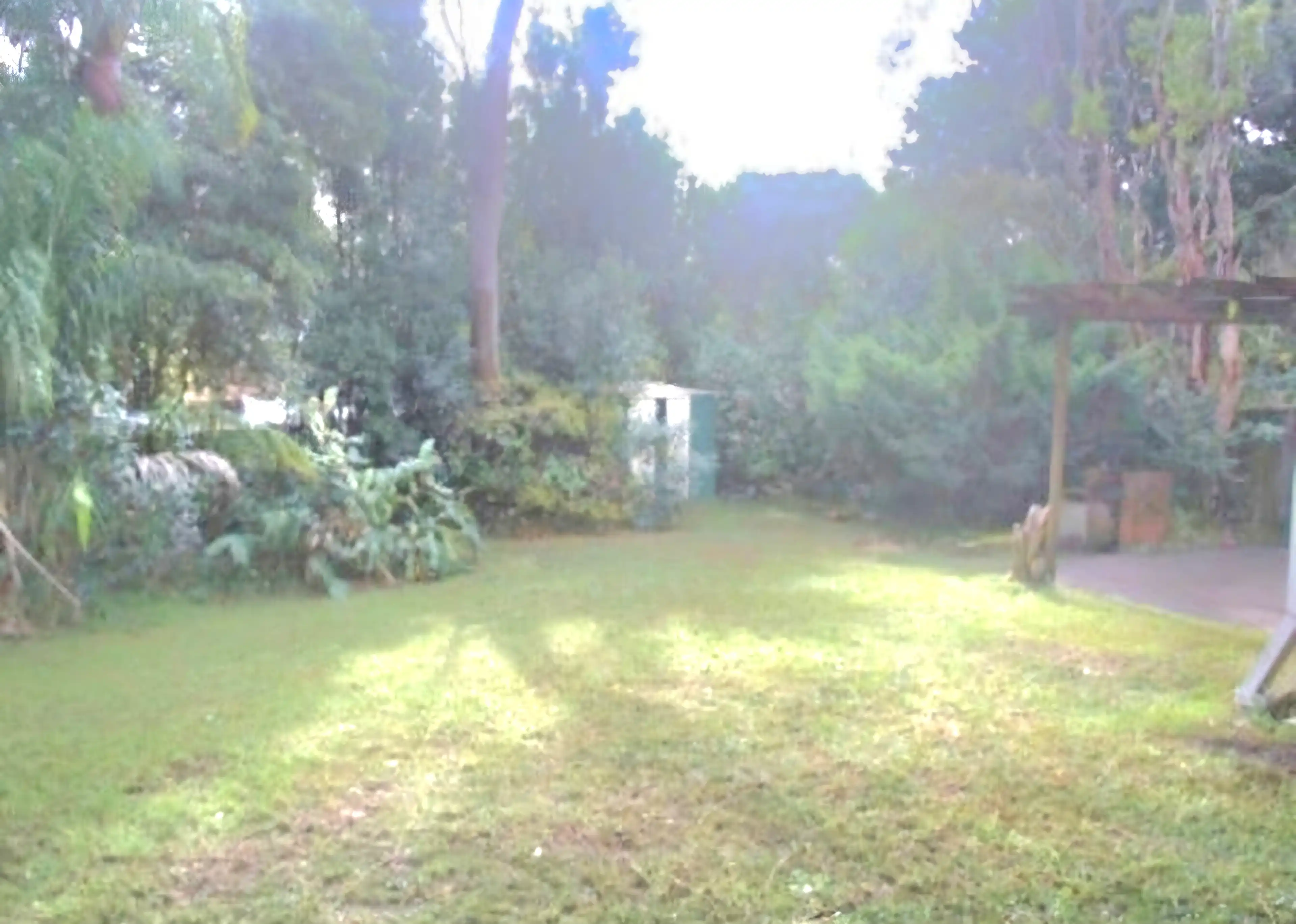 image-50