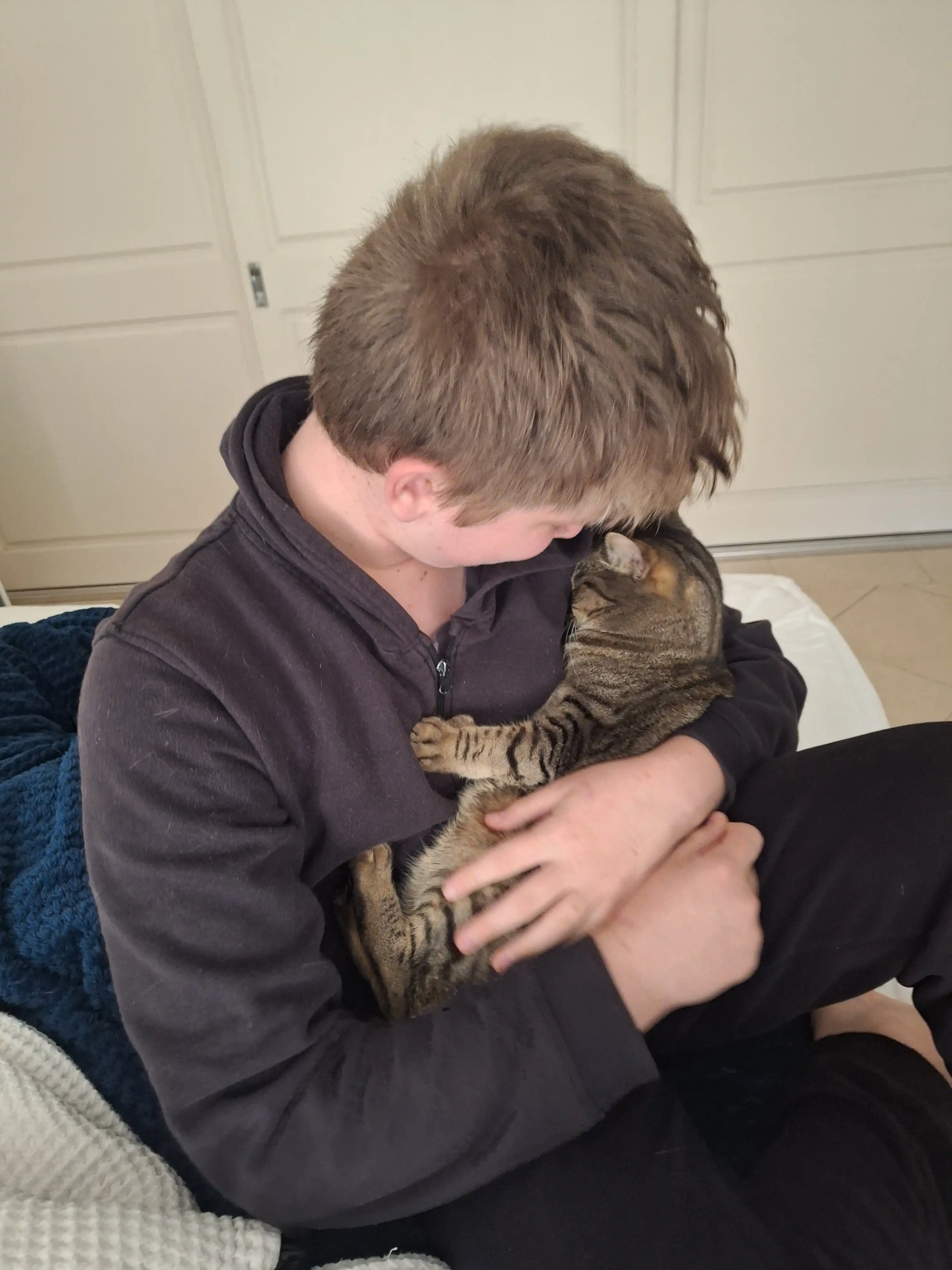 image-25