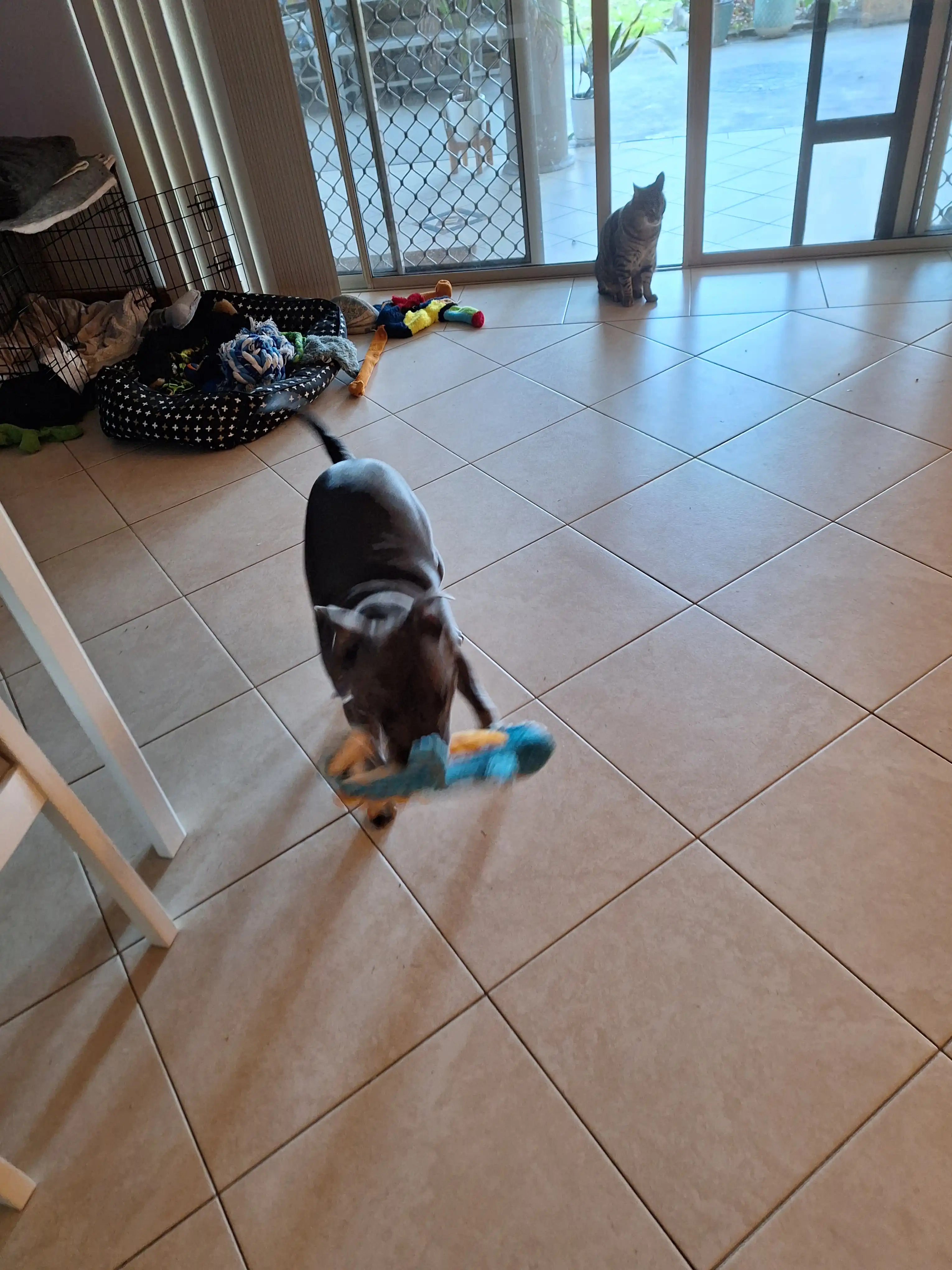 image-28