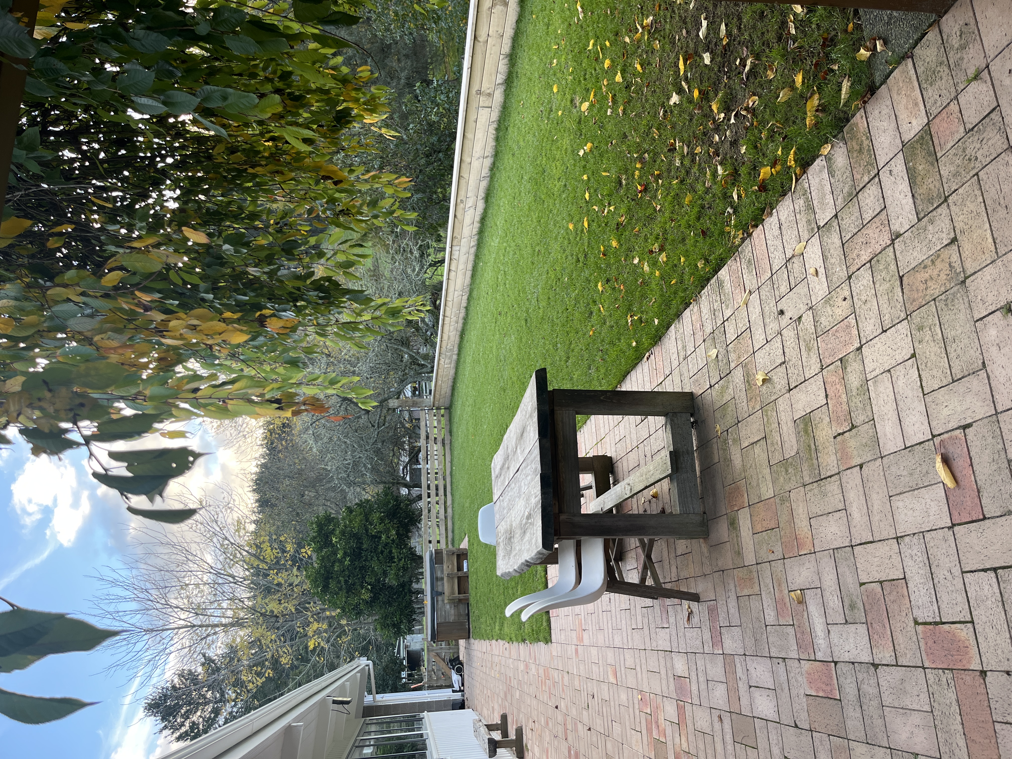 image-17