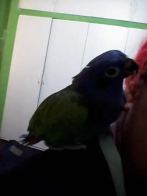 image-7