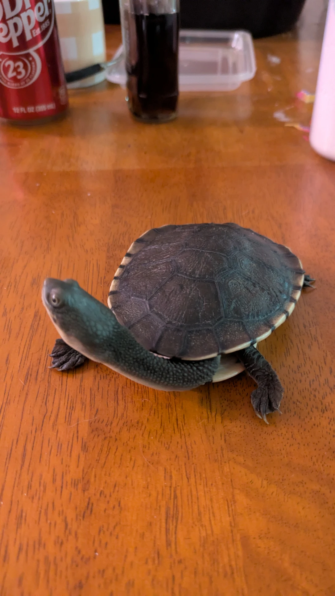 image-10