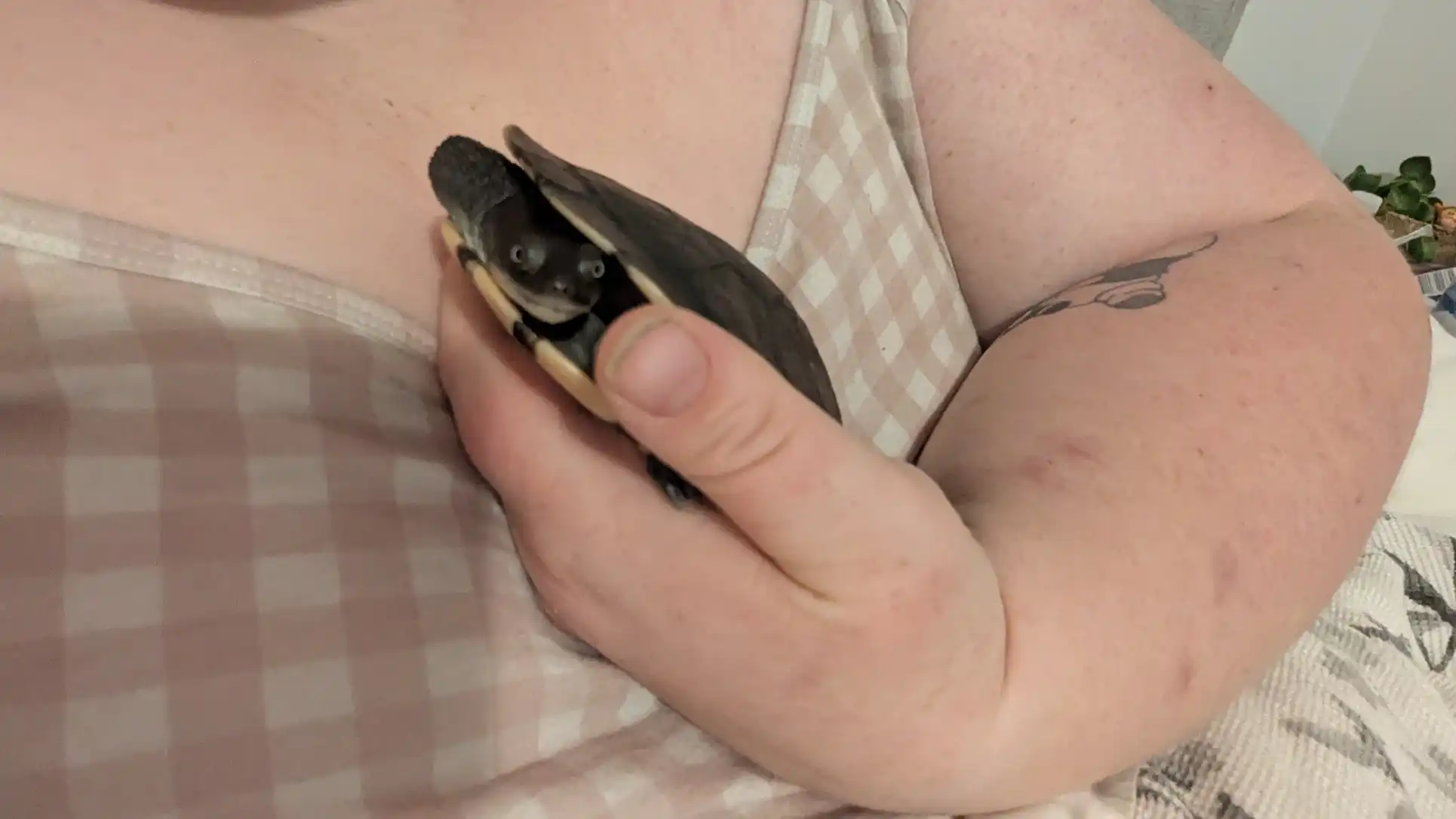 image-8