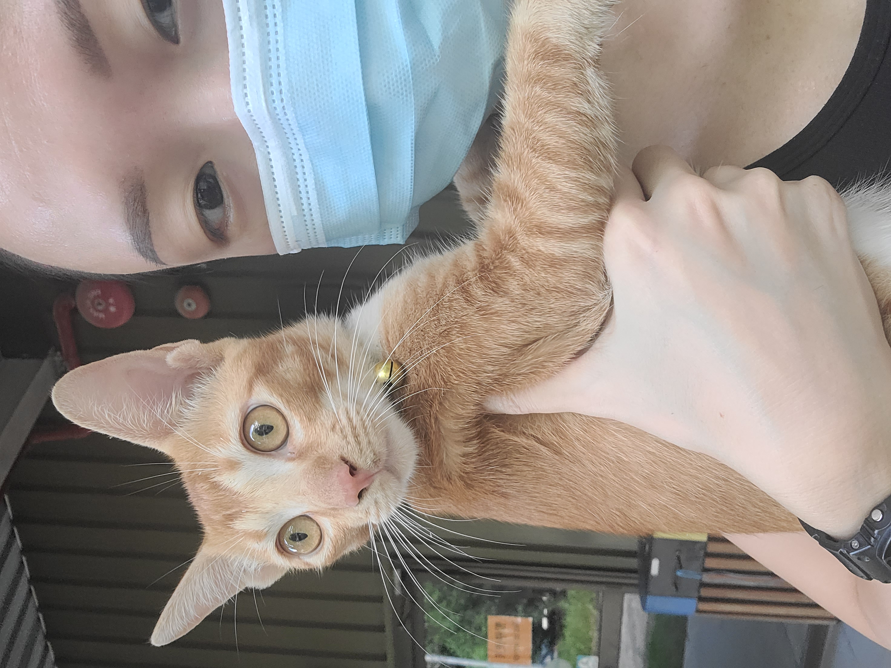 image-6