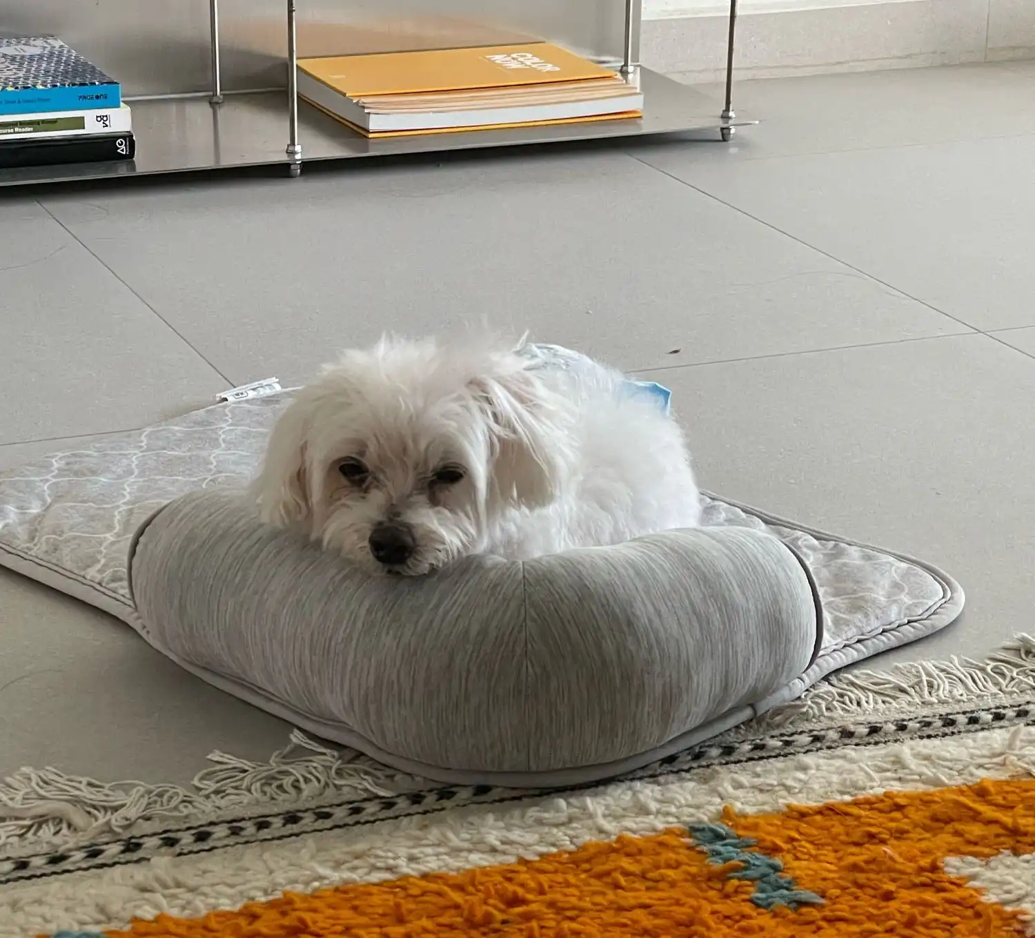 image-11