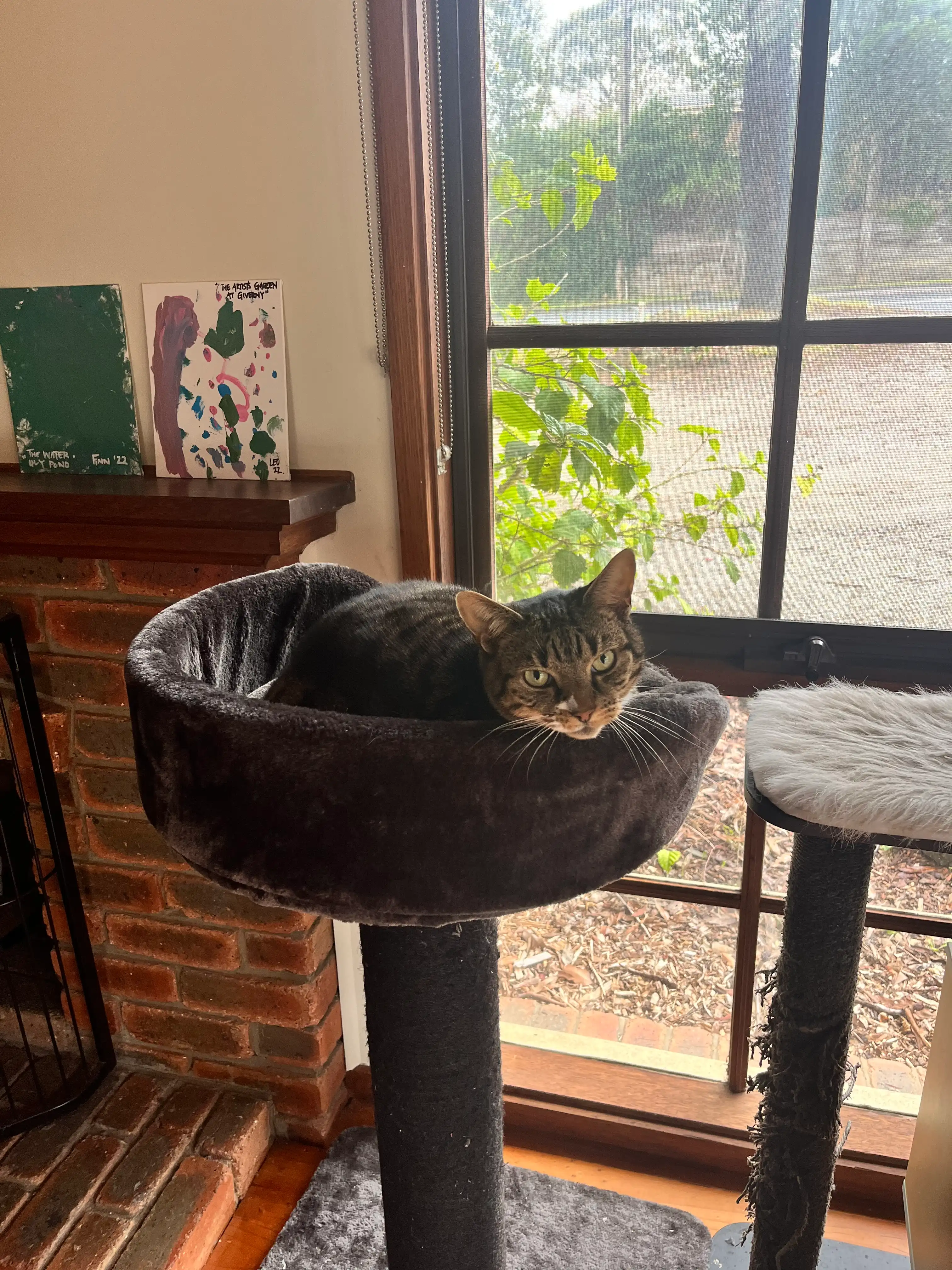 image-13