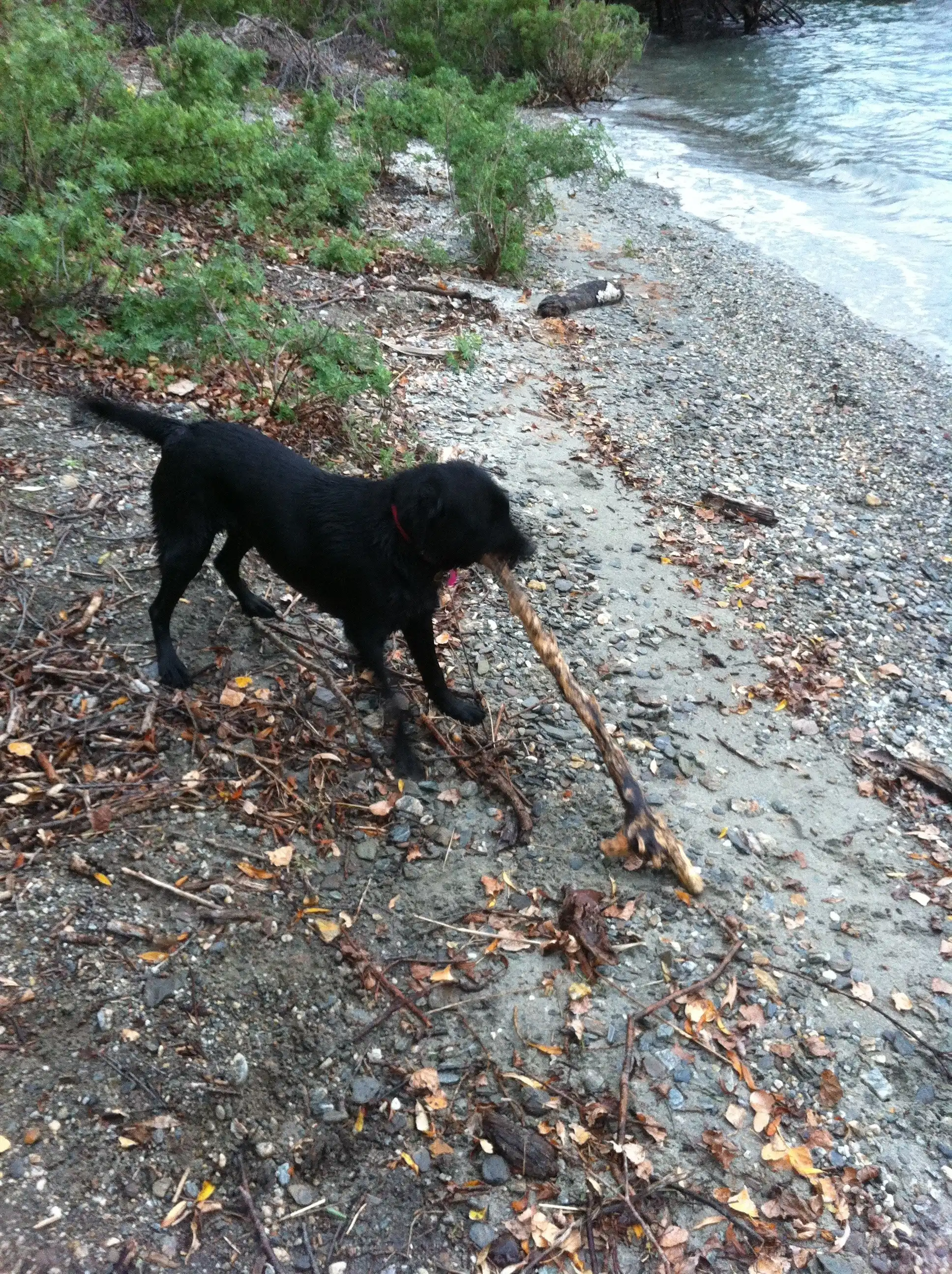 image-16