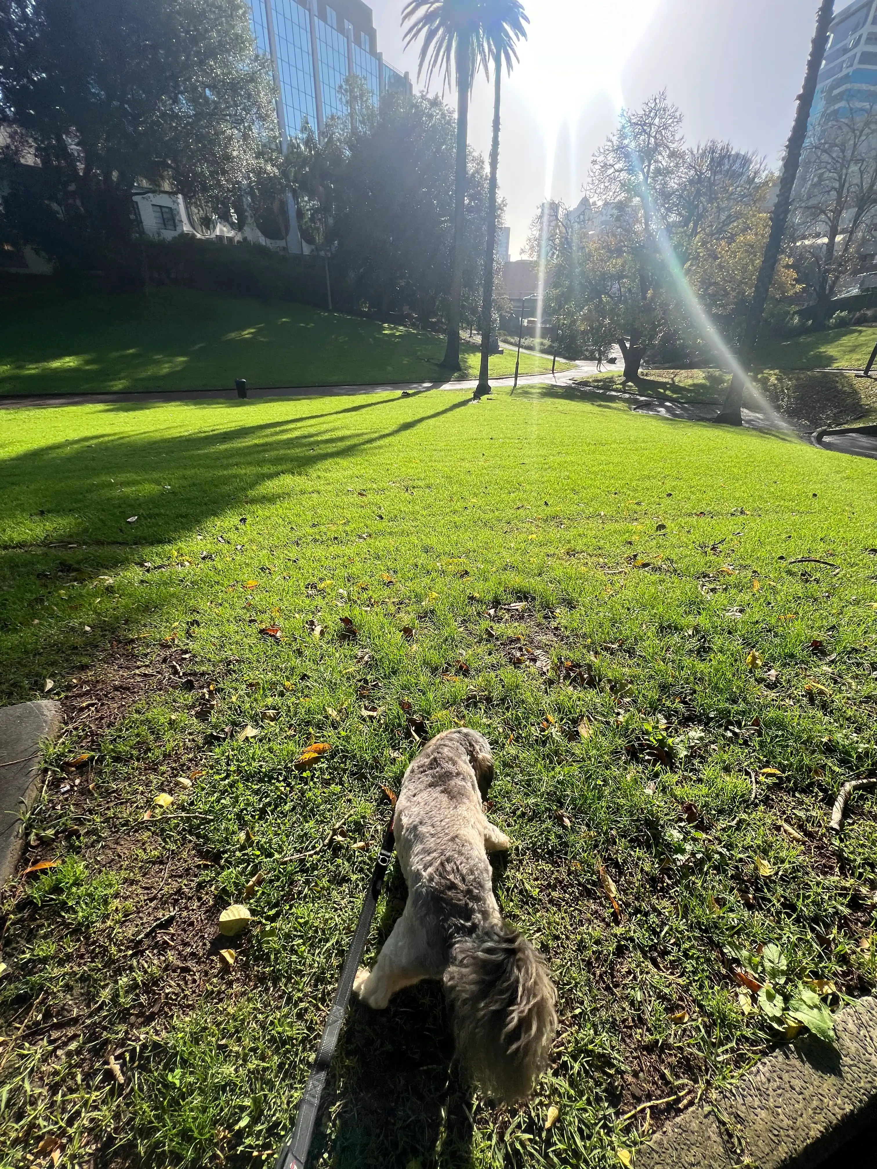 image-10