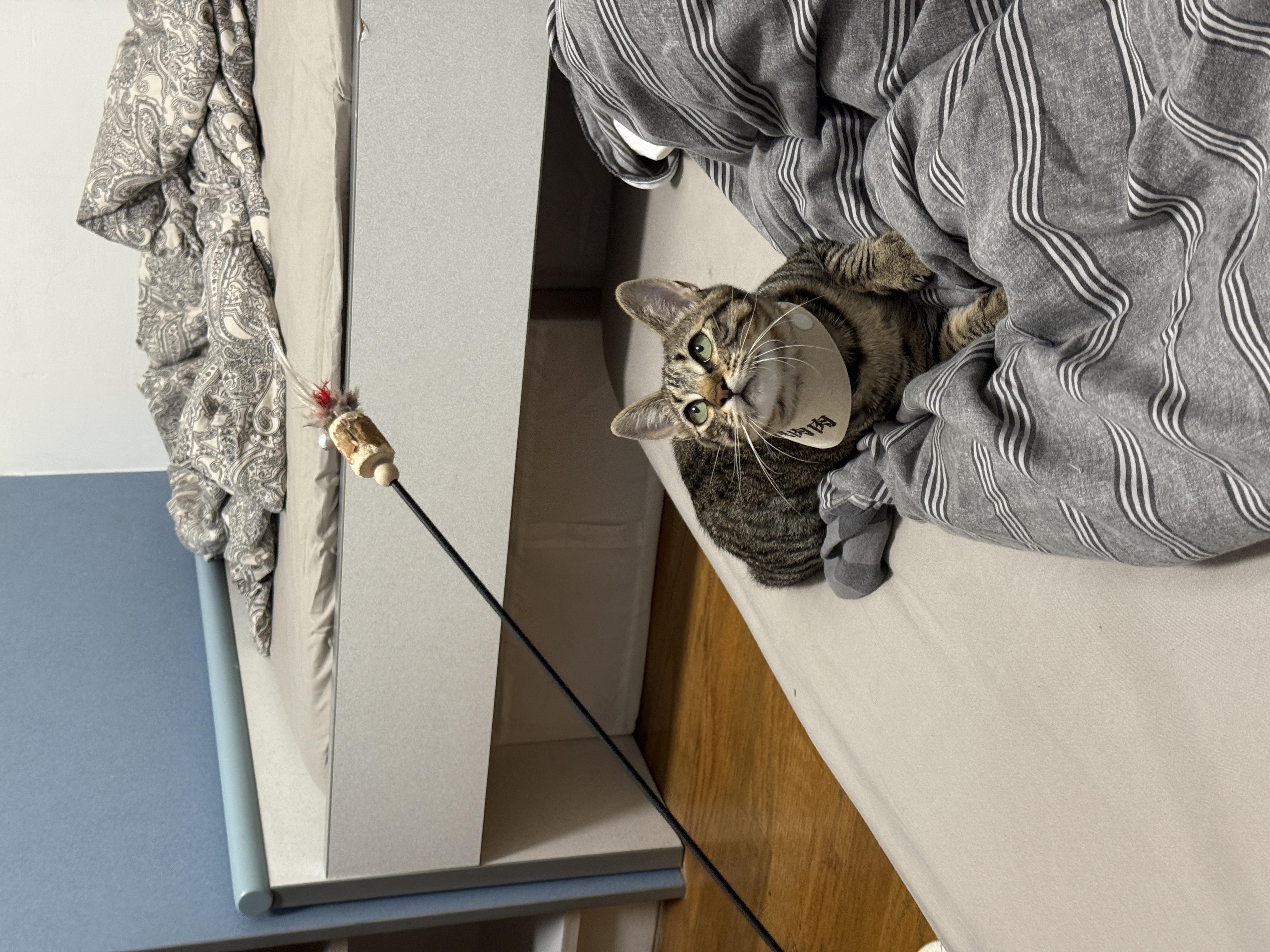 image-12