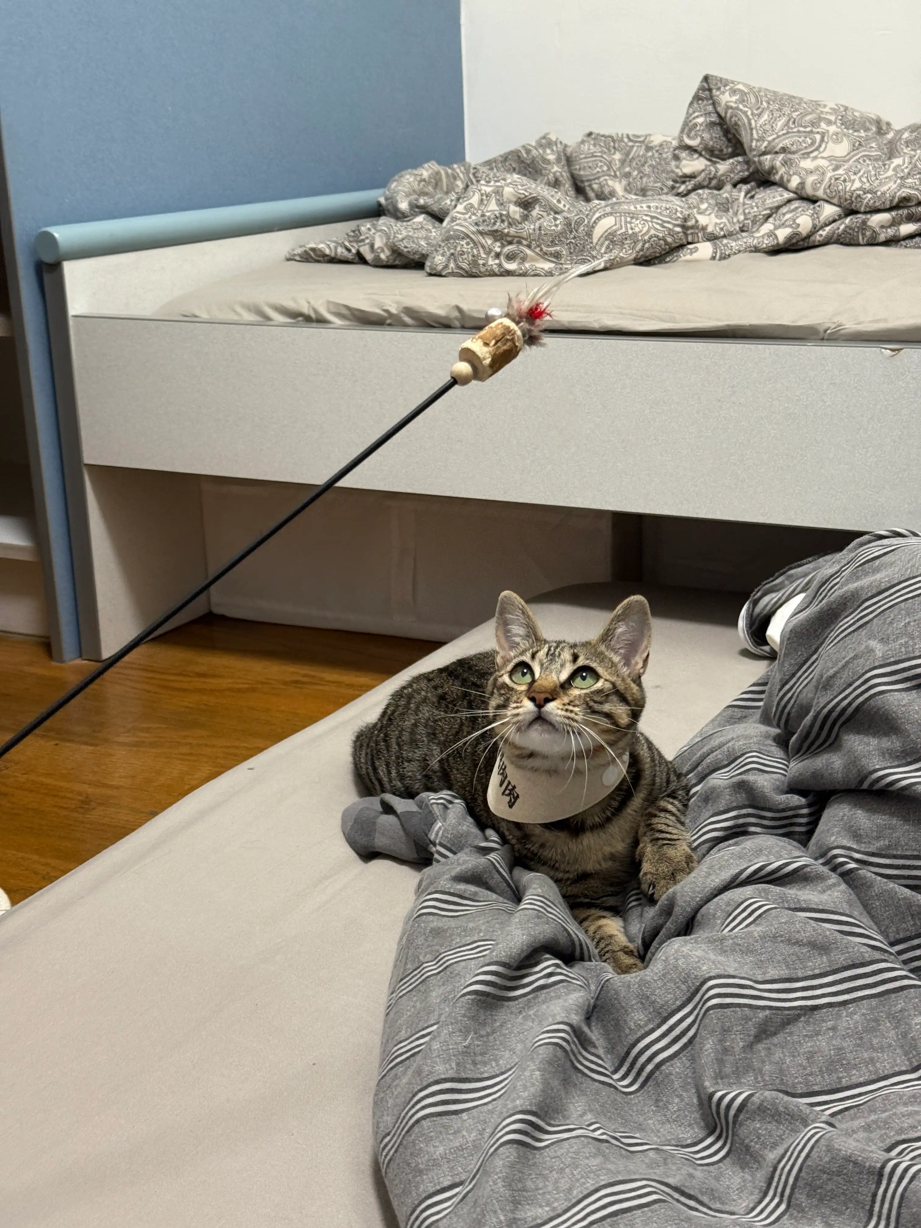 image-12