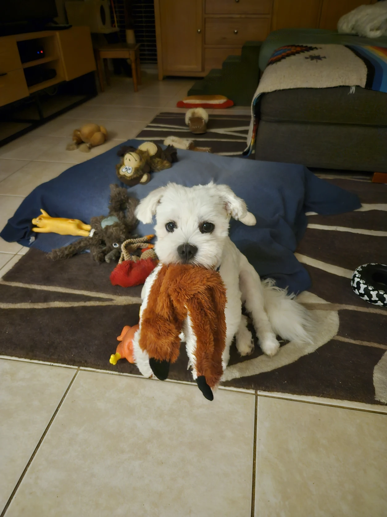 image-17